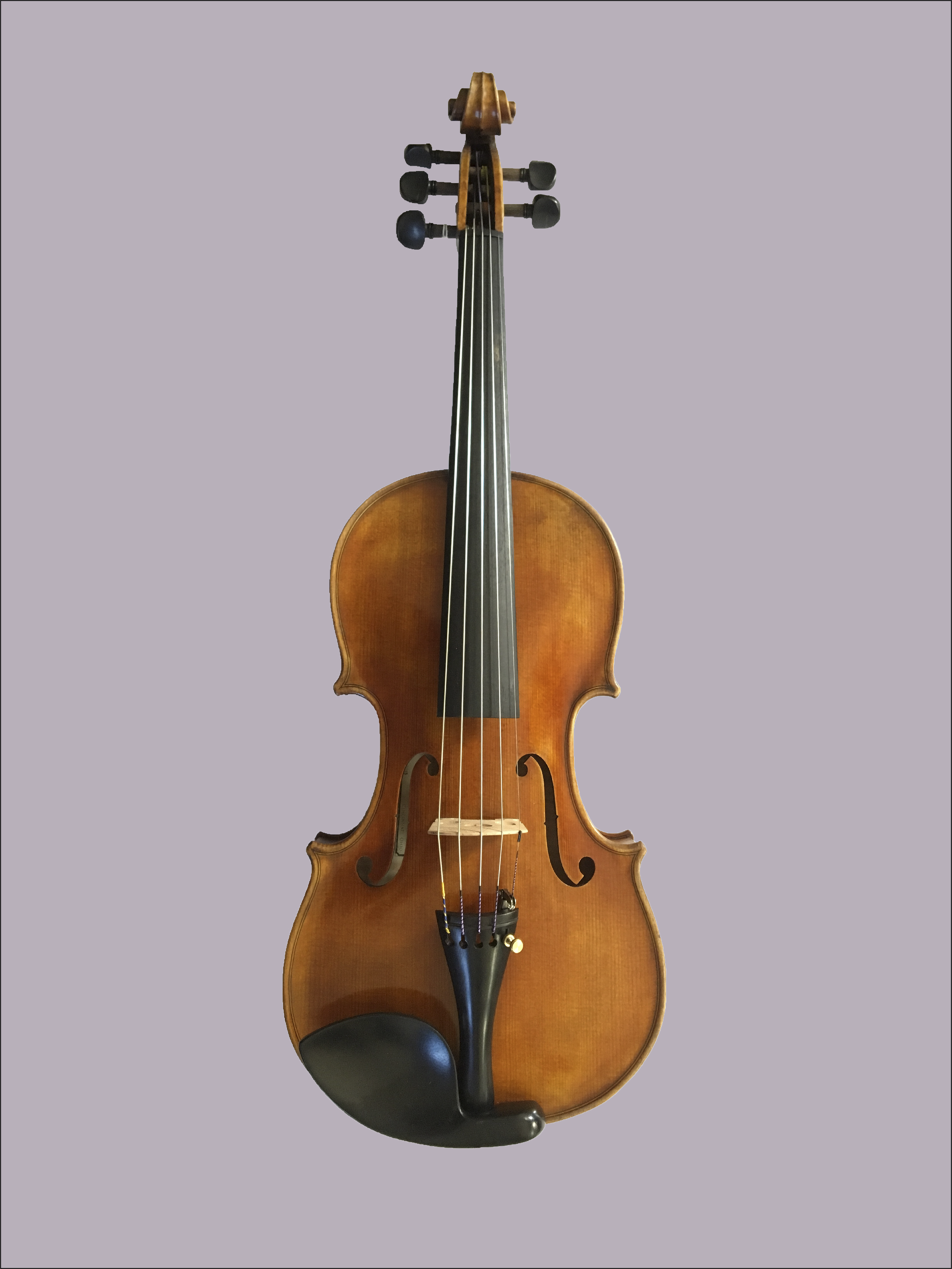 Beco - 5 string | Baroque Violin Shop