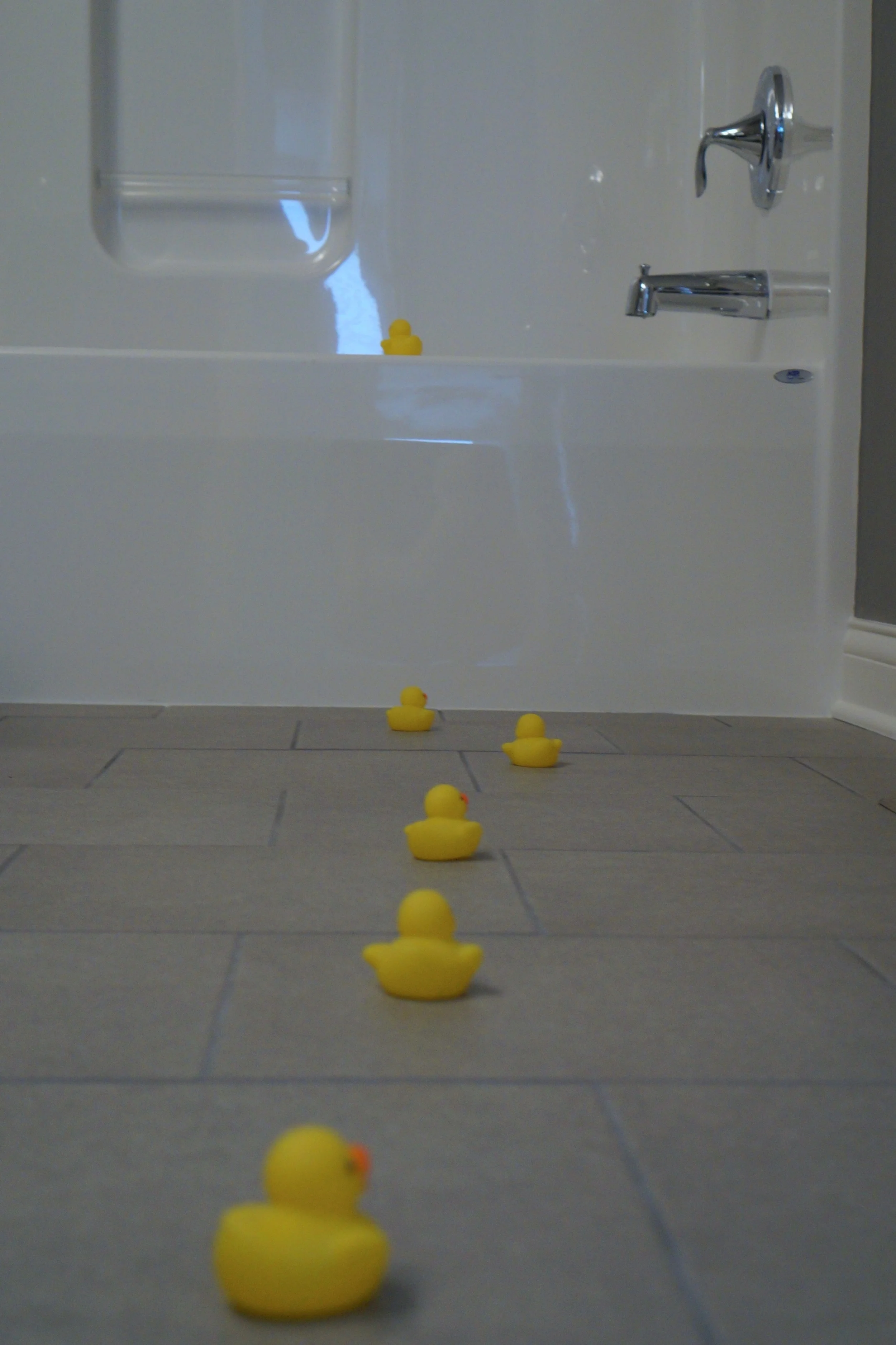 Make way for (new) ducklings.