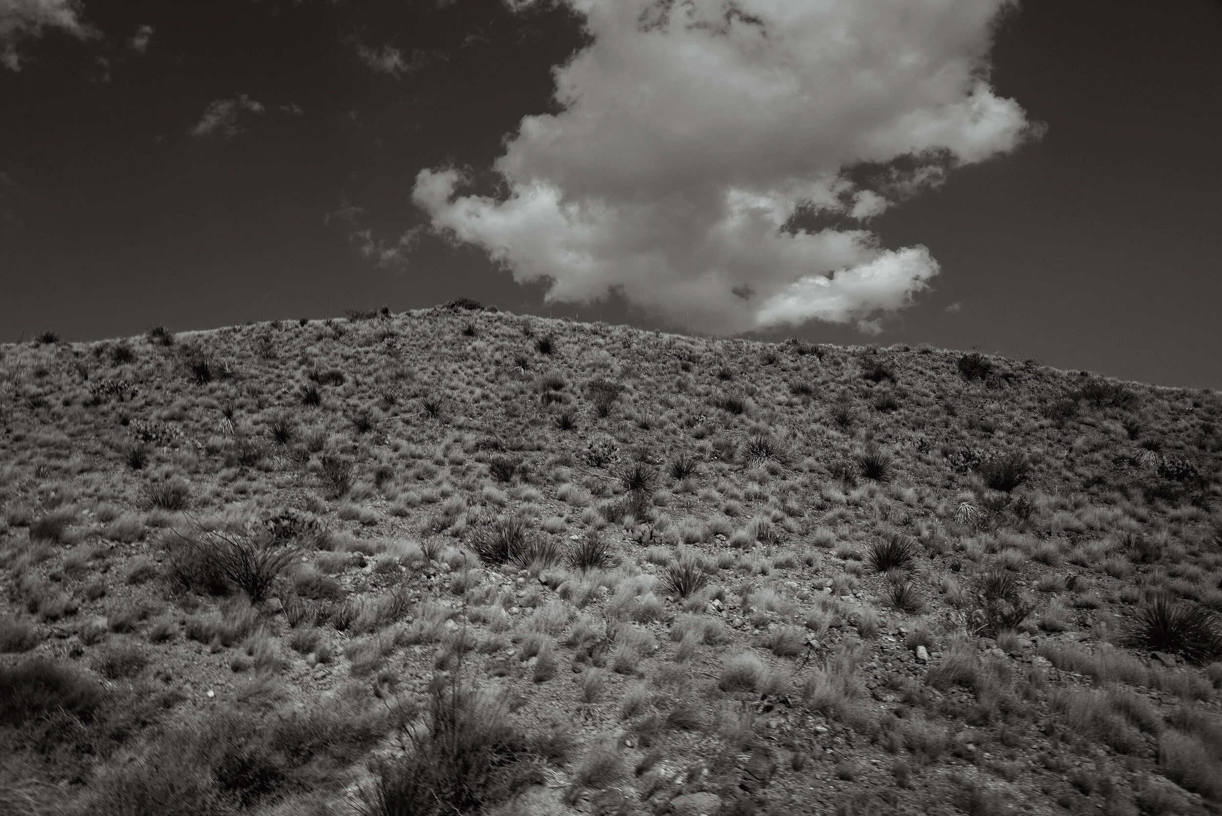 DSC_5048.jpg