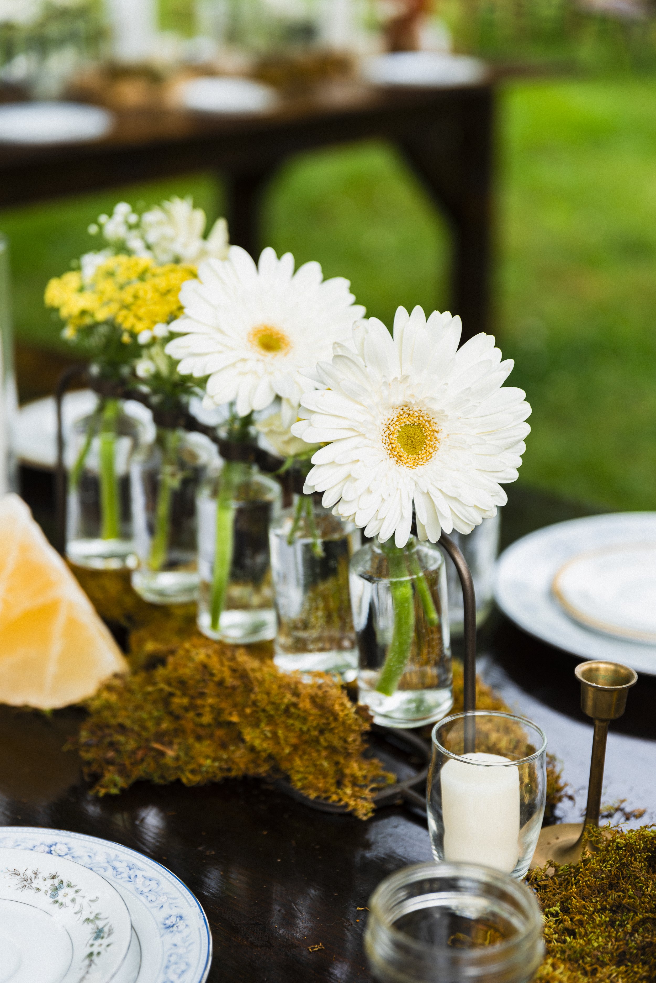 Claire+Zach_Journal_VirginiaWedding_TheHemlockHouse_AirbnbWedding_Maryland_Wedding_Elopement_DMV_Maryland_Hagerstown_Frederick_Maryland_PeytonOliviaPhoto_WeddingPhotography_POW2023-3.jpg