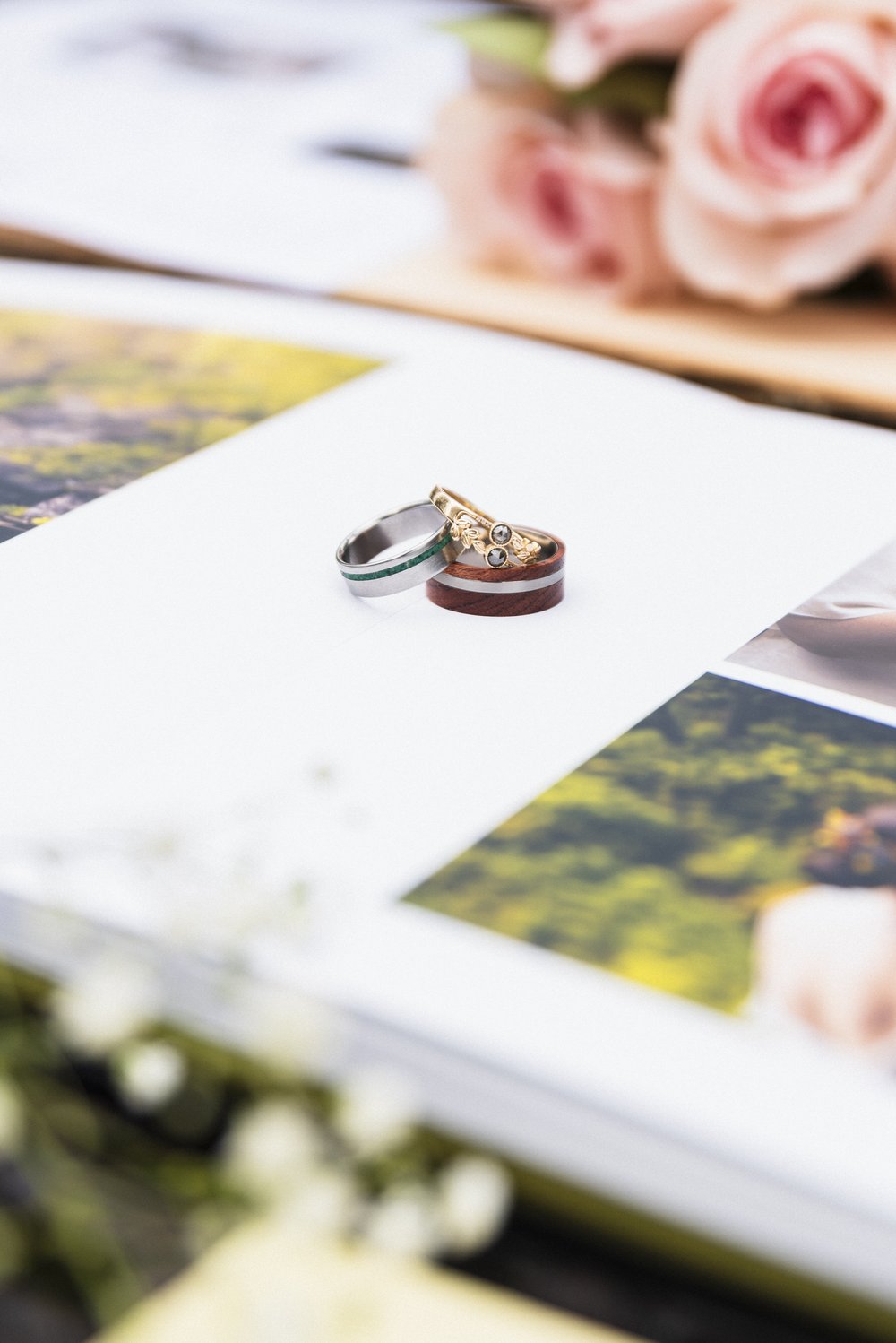 Claire+Zach_Journal_VirginiaWedding_TheHemlockHouse_AirbnbWedding_Maryland_Wedding_Elopement_DMV_Maryland_Hagerstown_Frederick_Maryland_PeytonOliviaPhoto_WeddingPhotography_POW2023-105.jpg