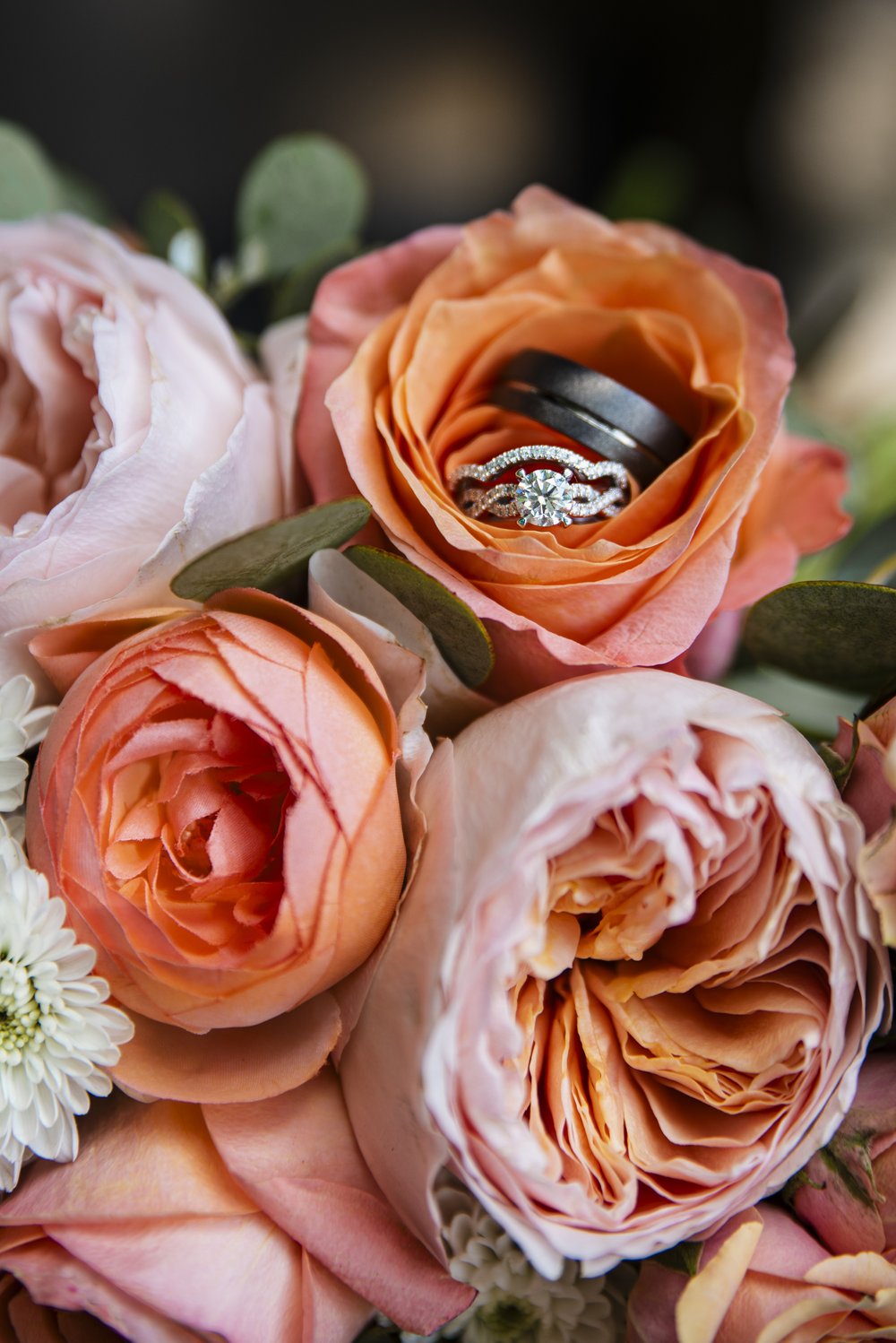 Alyssa+Joe_TheTeaRoom_GambrillStatePark_Maryland_Wedding_Elopement_MircoWedding_July_DMV_Maryland_Hagerstown_Frederick_Maryland_PeytonOliviaPhoto_WeddingPhotography_POW2023-64.jpg