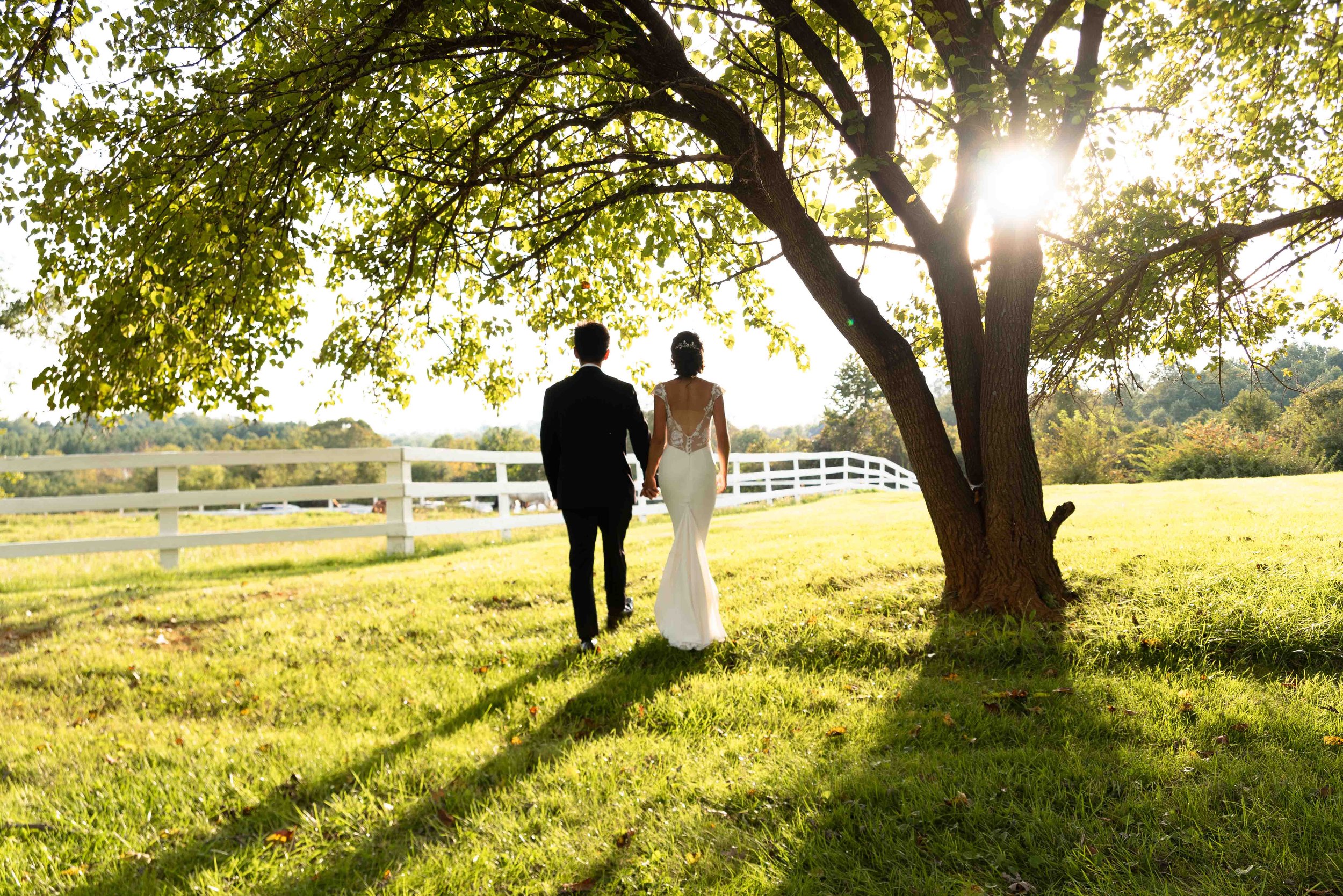 weddingphotography_highlights_awardwinningwedding_weddingphotographer_frederick_maryland_portraitsession_PeytonOliviaPhotography_POW2023 (122 of 359).jpg