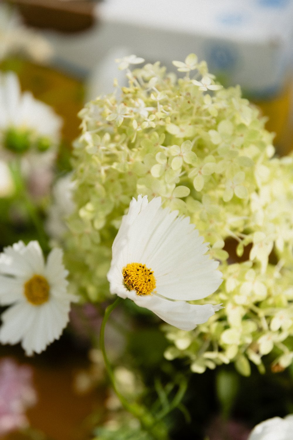 StyledWedding_Giveaway_GrayceGardens_MoonchildEvents_OrangeandOliveFloral_PeytonOlivia_Studios_Photography_Weddings_Hagerstown_Frederick_Maryland_DMV_POW2023-41.jpg