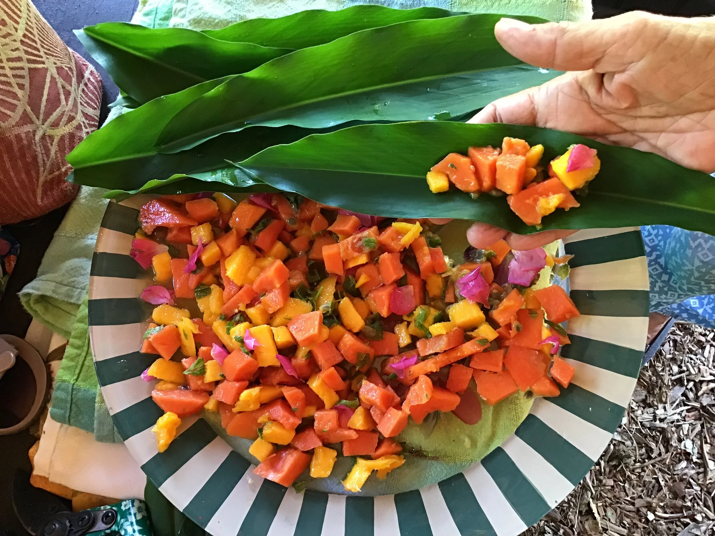 Delray Beach Children's Garden