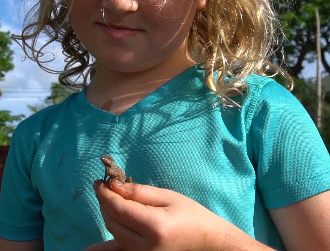 Delray Beach Children's Garden