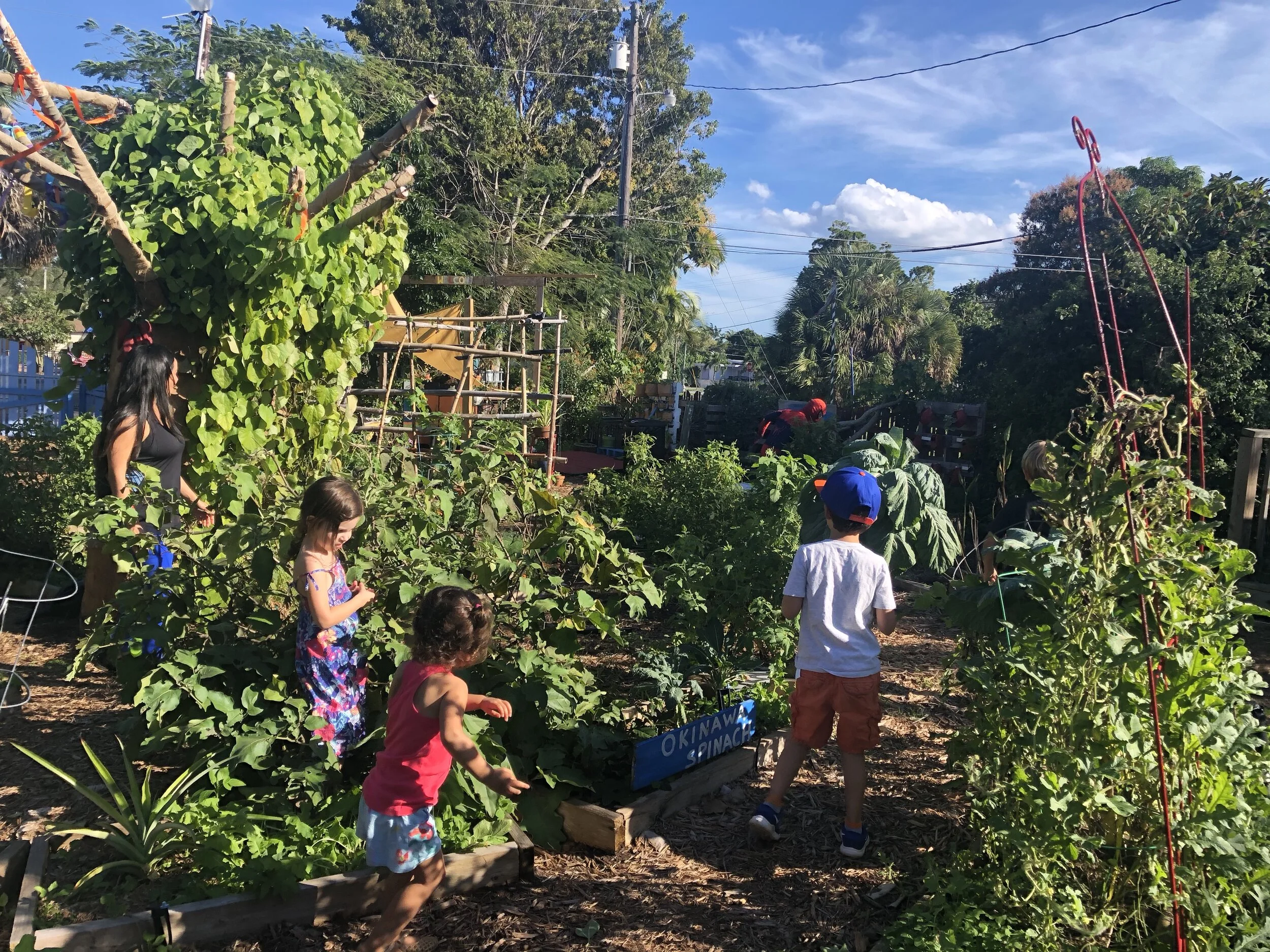 Delray Beach Children's Garden