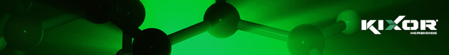 BASF_728x90_1.jpg
