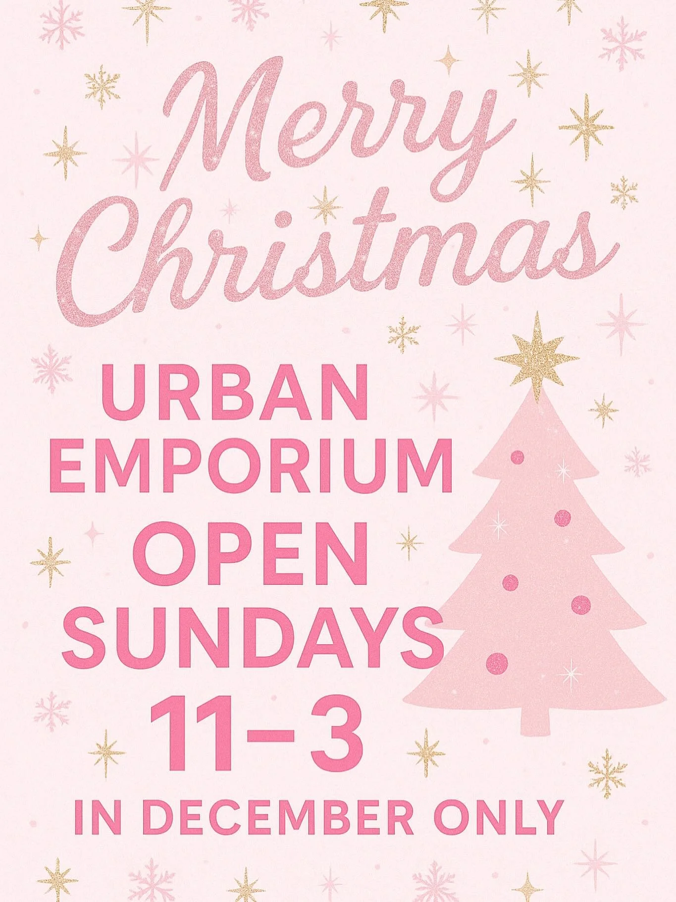 🎄✨ MERRY CHRISTMAS ✨🎄

Santa called and said our amazing customers were good all year, and we should open on Sunday just for them!

Come see us on SUNDAYS in December from 11&ndash;3 ❤️

Don&rsquo;t forget we gift wrap 🎁 and we have hot chocolate 
