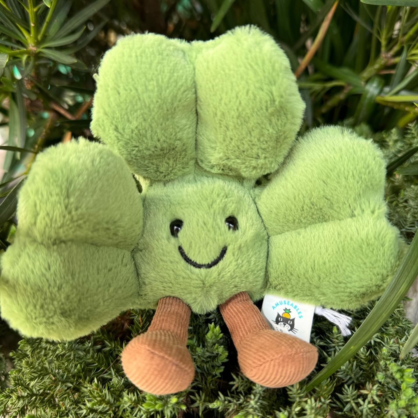 Amuseables Siofra Shamrock is HERE and ready for a home this St. Patrick&rsquo;s Day!! ☘️✨

Only a few left!!⭐️

#jellycat #amusablesjellycat #shamrock #stpatricks #downtownmobile
