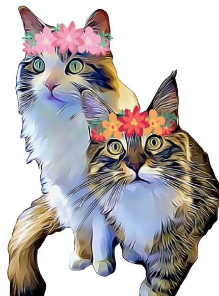 Birdie and Cricket No Background.png