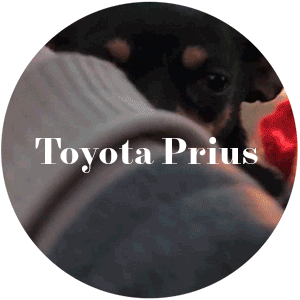 toyotapriussweater.gif