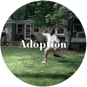 adoption1.gif