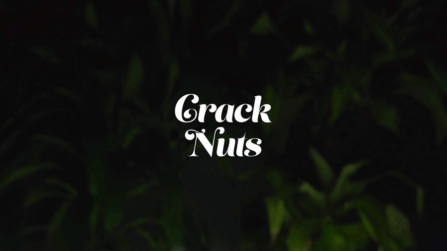 logo.gif