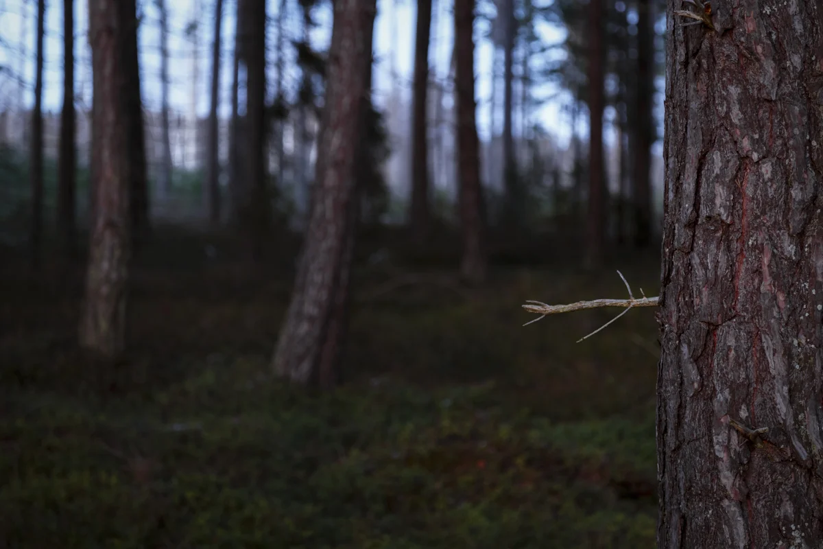 Canon 6D, Canon EF 24-105 f4 -> 0,5sek, f4, ISO 200, 105mm