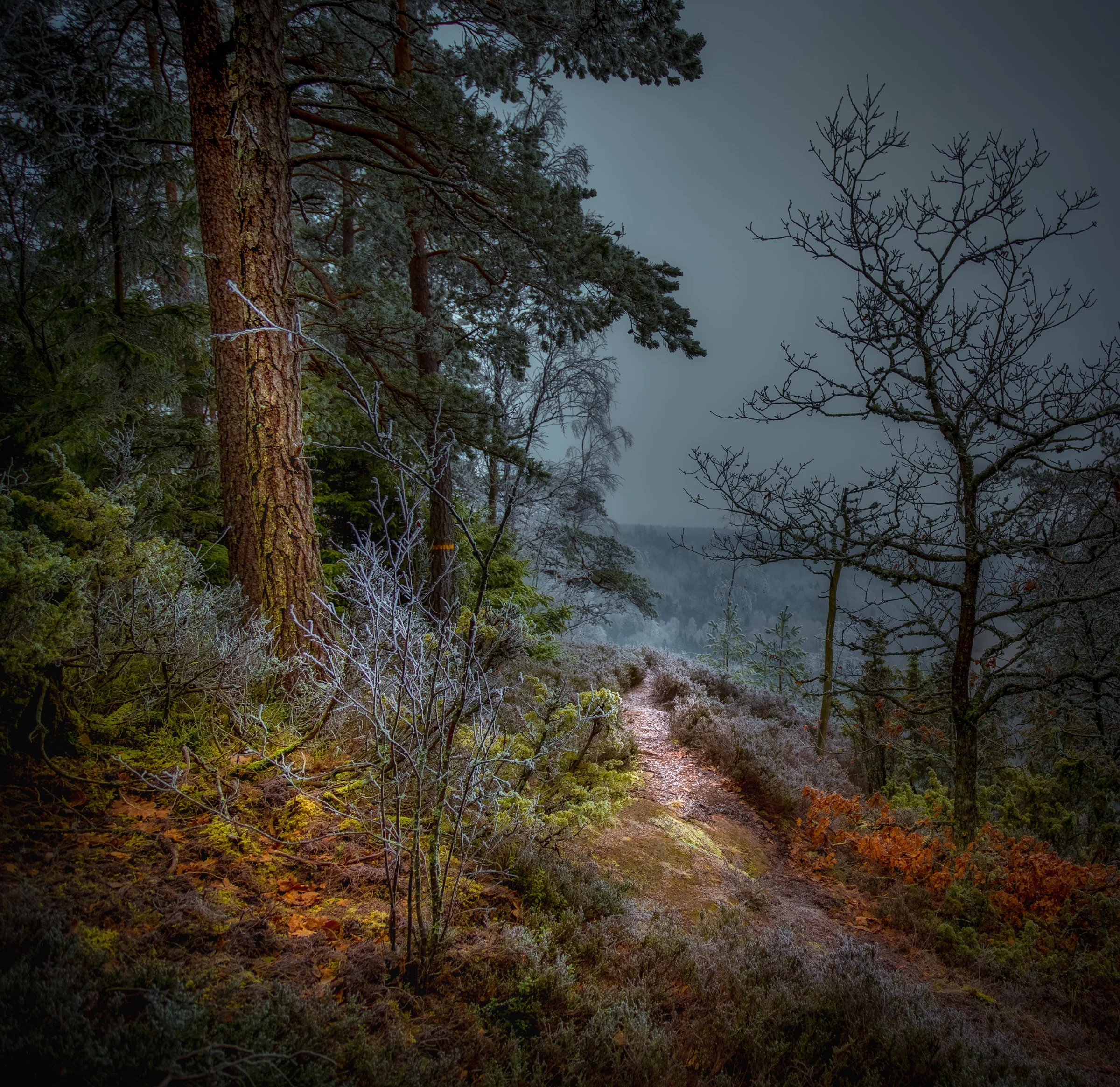 20170129-håleberget-57-Redigera-2.jpg