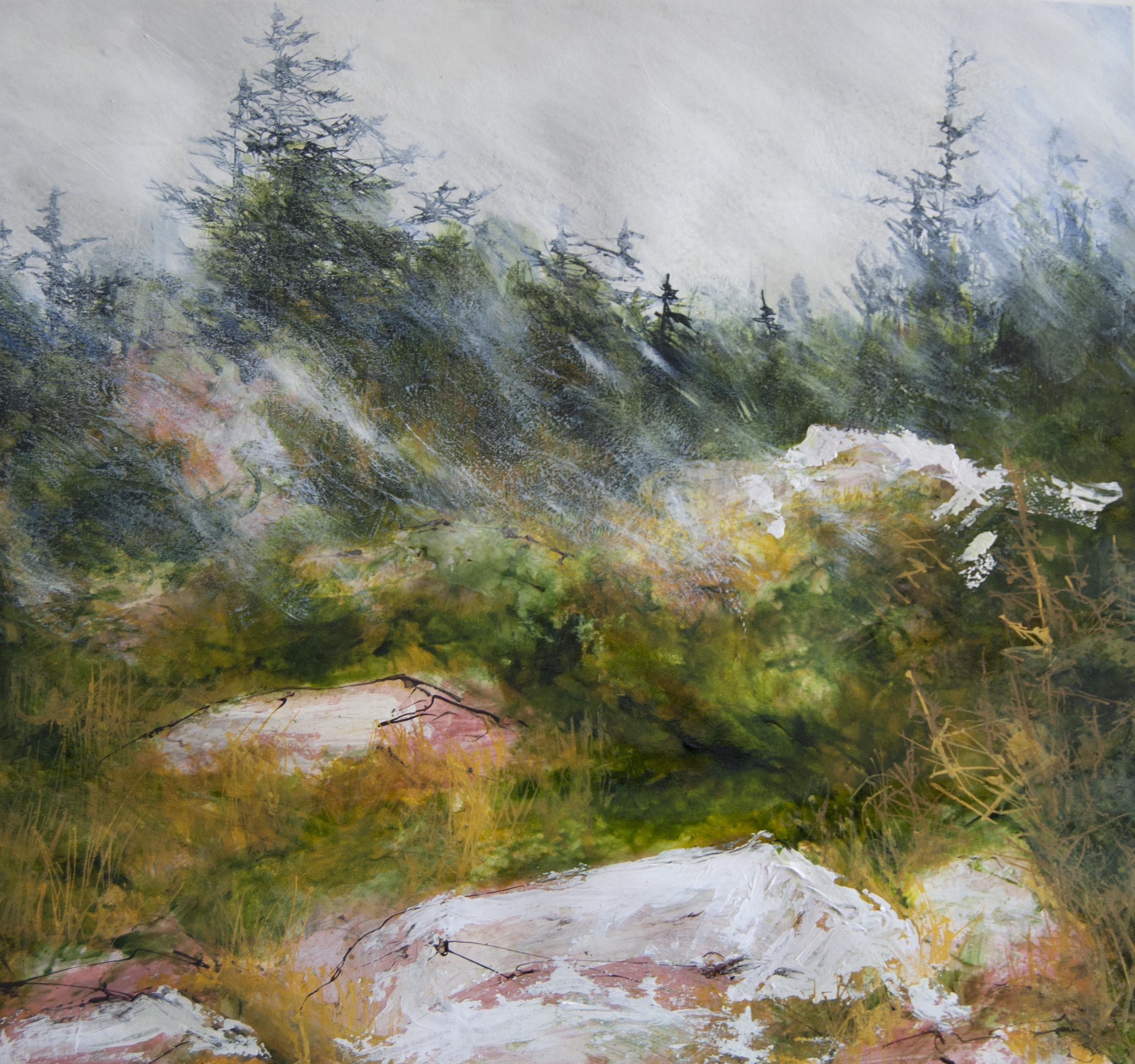 In the Woods, Schoodic ME, Watercolor, pen and ink with acrylic on paper, 2014 in private collection 