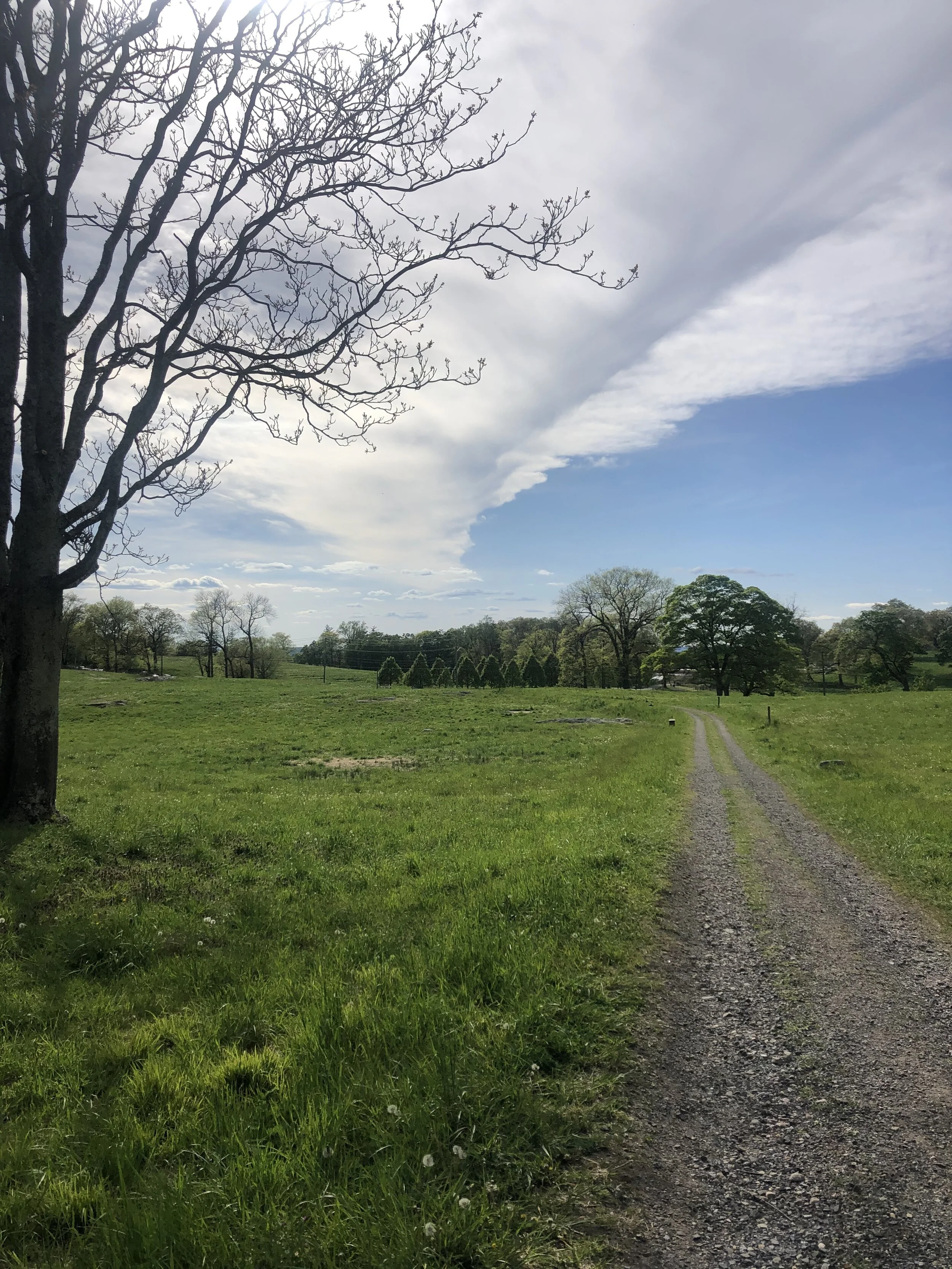 CFC Blog #203: Quarantine-Themed Anti Pet Peeves (May 22, 2020)