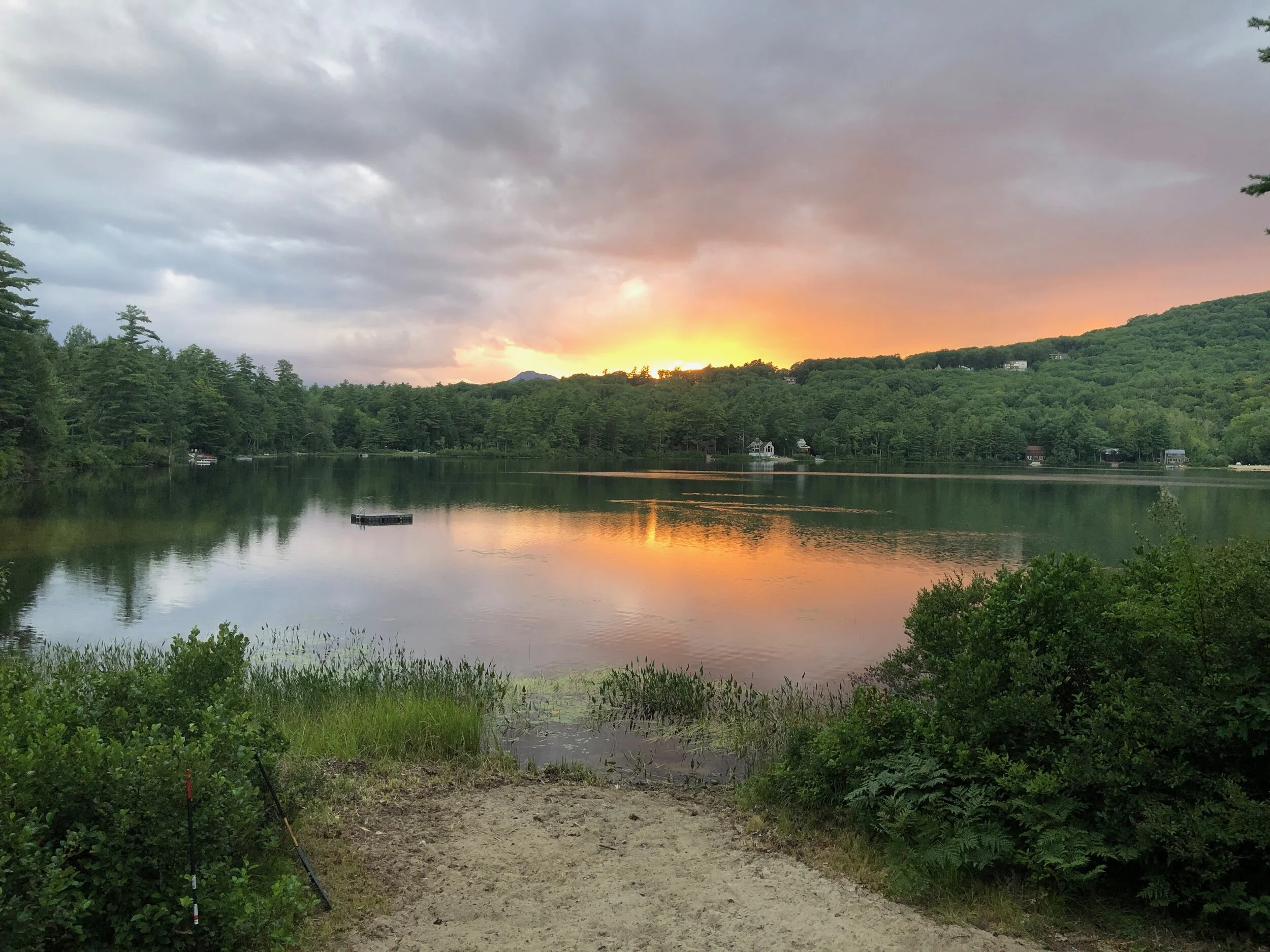 #221: Home-Related Anti Pet Peeves