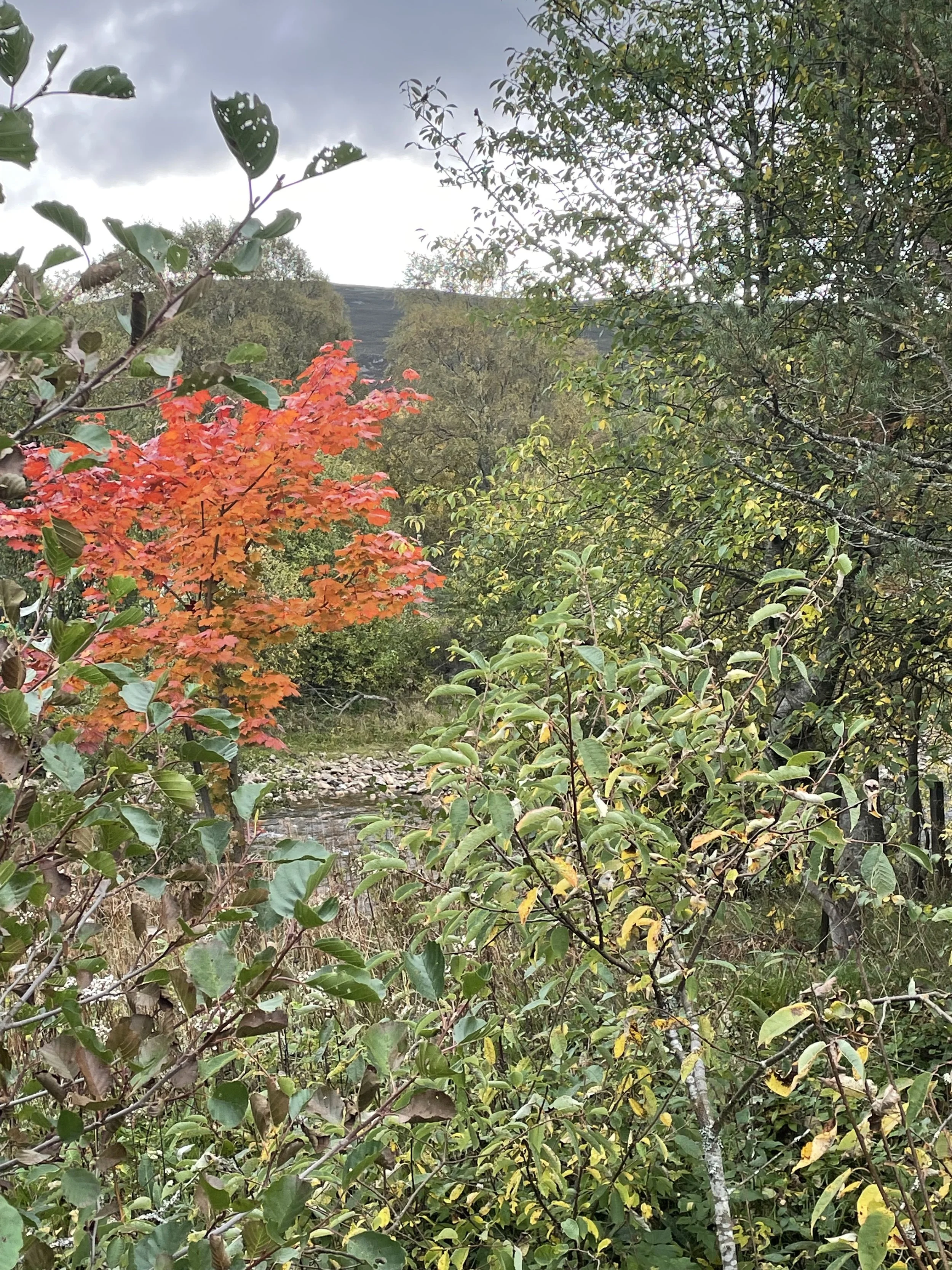 CFC Blog #281: Autumn themed anti pet peeves ROUND 2