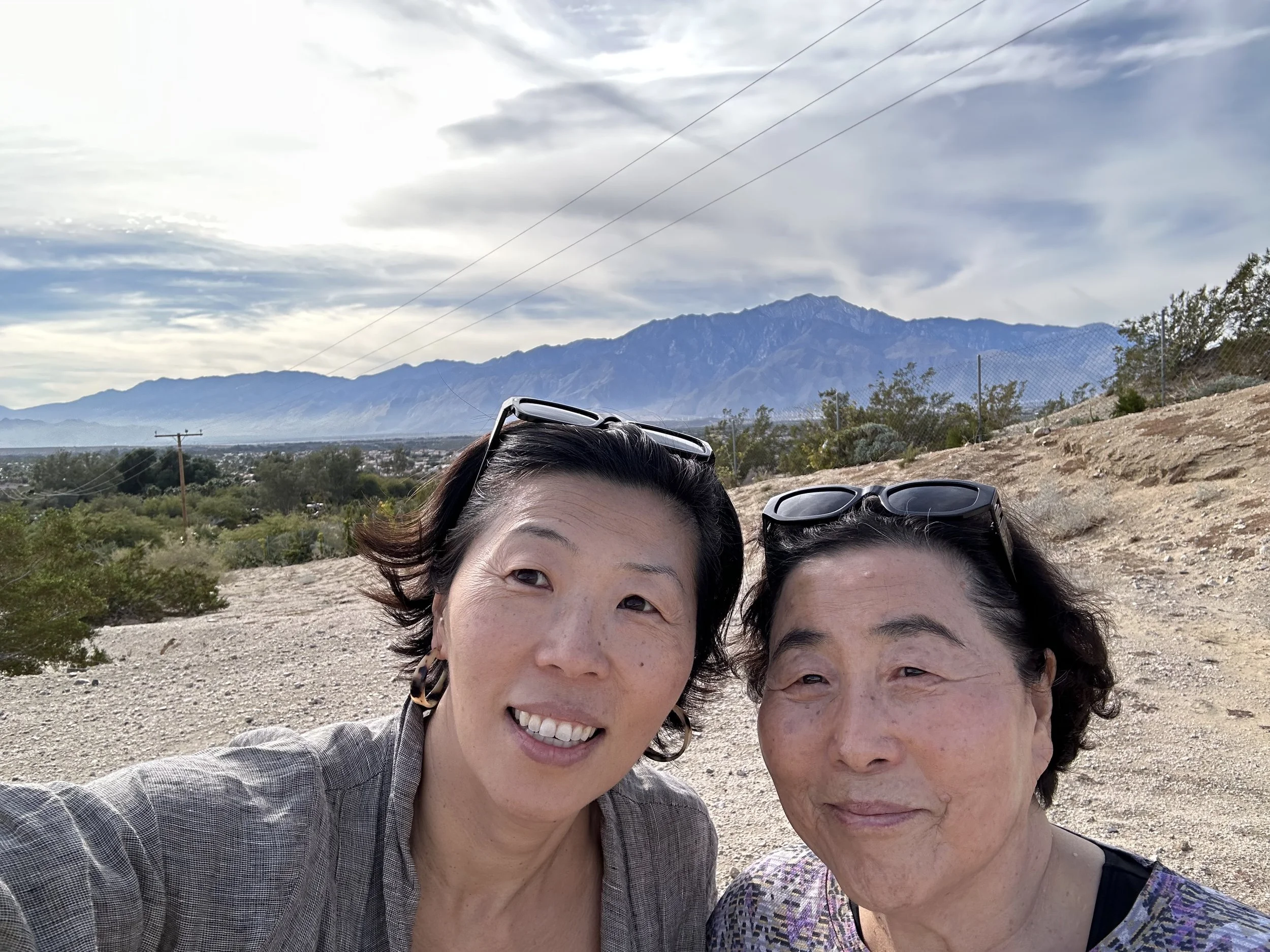 #385: SPOTLIGHT: Suzi Chun-Turley