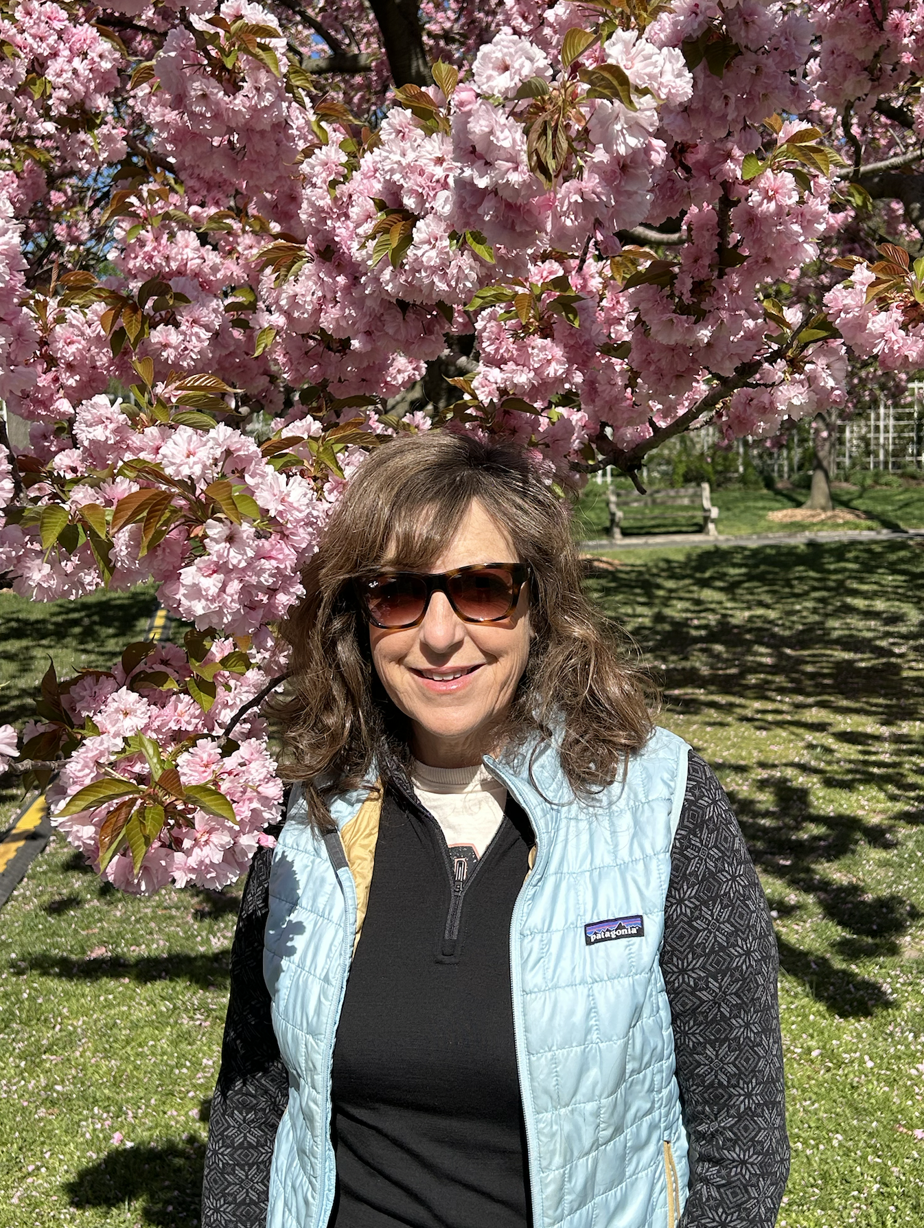 #464: SPOTIGHT: Julie Sorenson