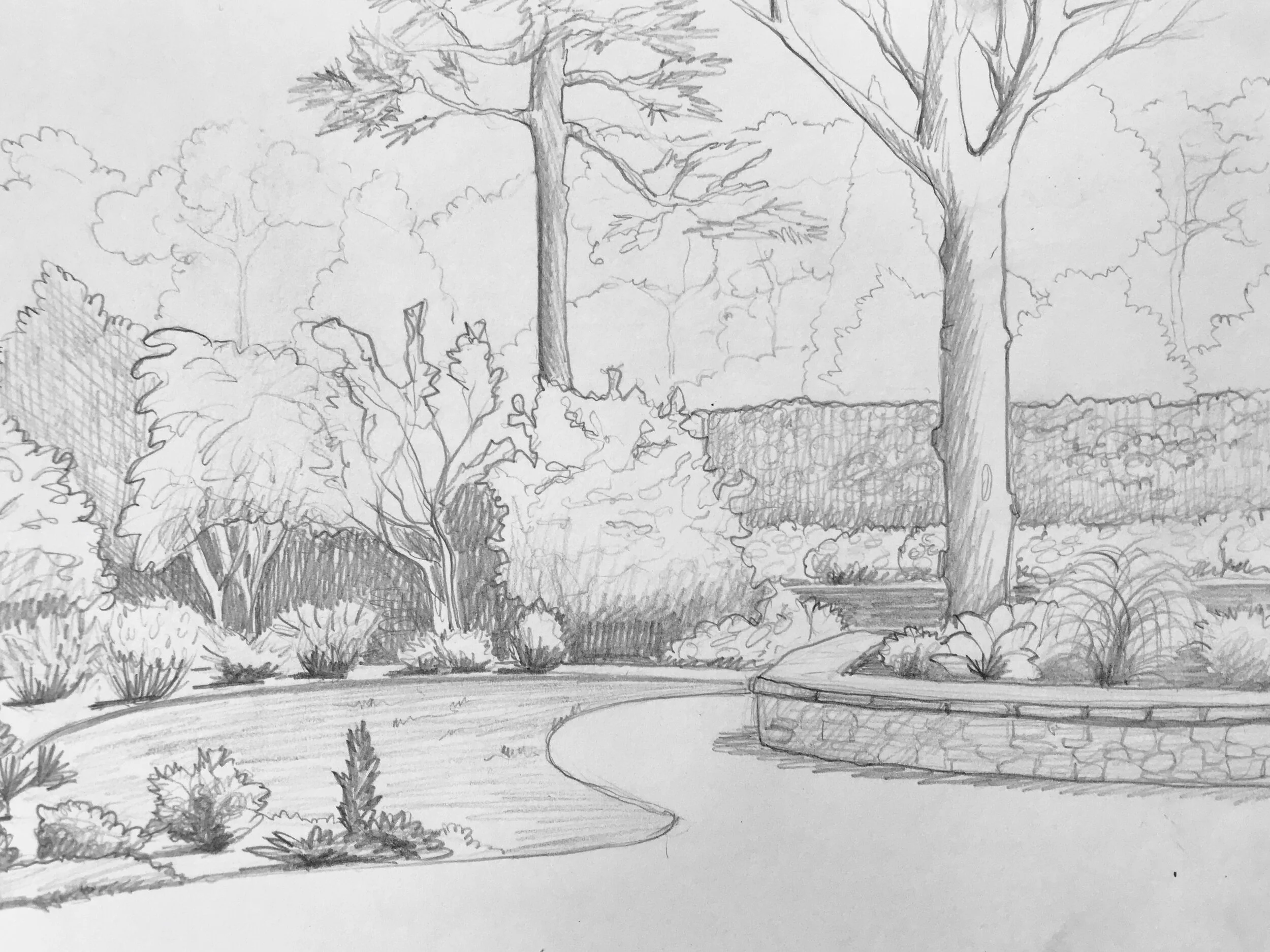 Summer Series: Dori DeCamillis