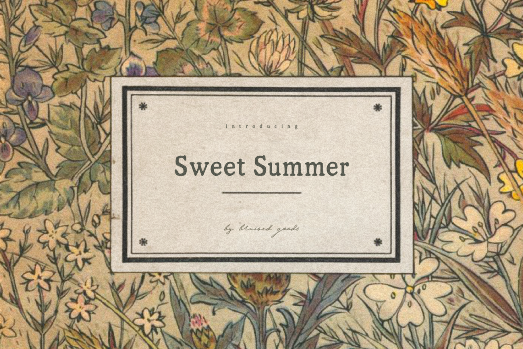 sweet-summer_feature-images-01_v2.png