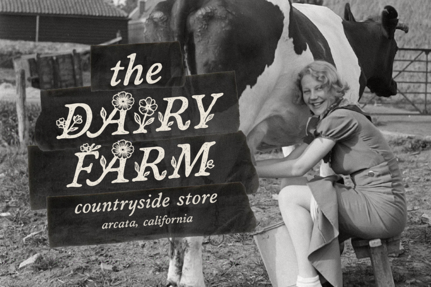 field-notes_feature-images_draft-1 copy-05.png