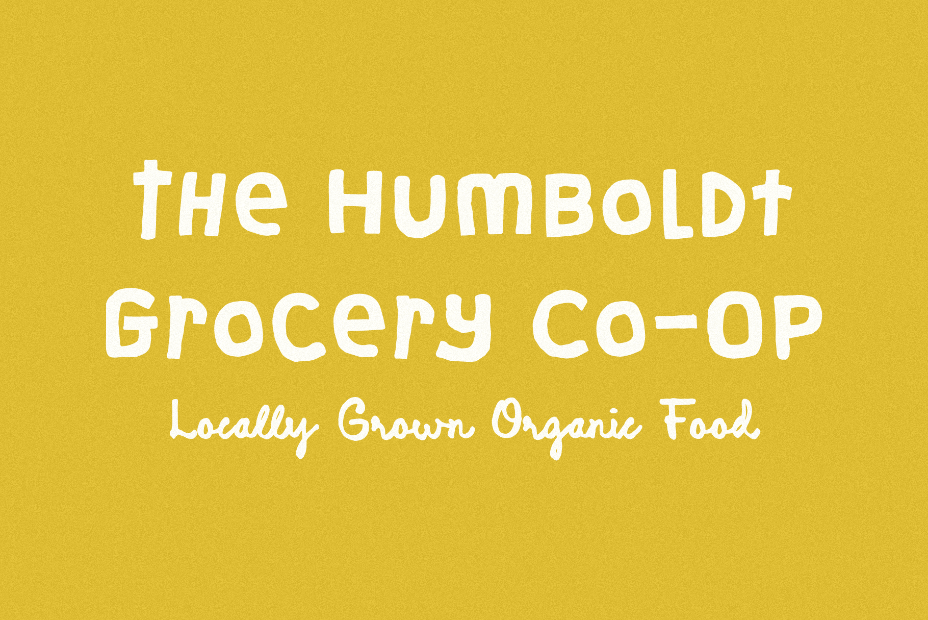 Marigold-Market_Font_feature-images-012.png