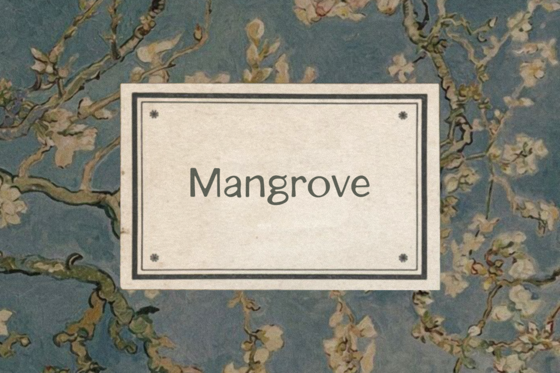 mangrove_feature-images-01.png