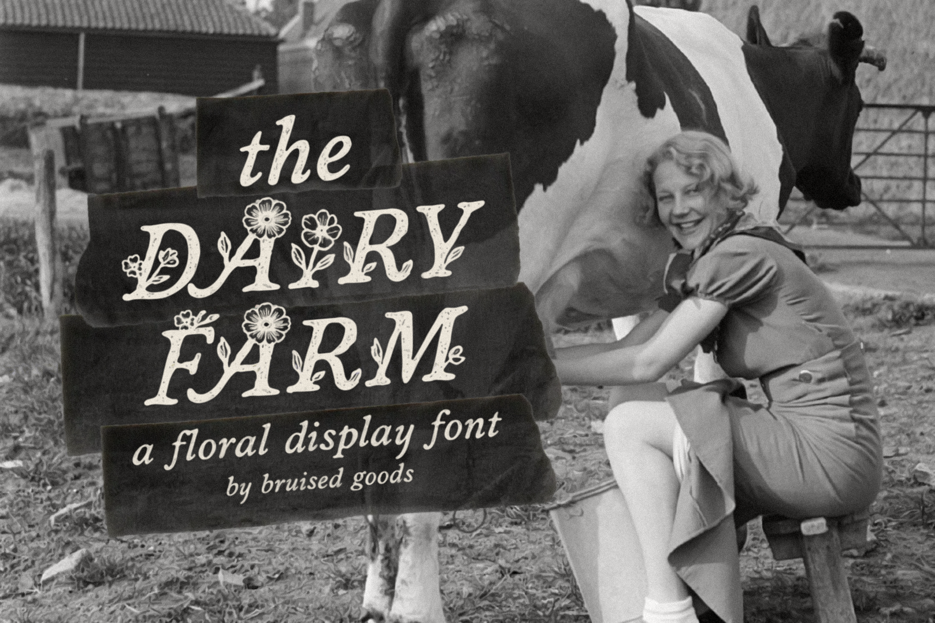 dairy-farm_feature-images-01.png