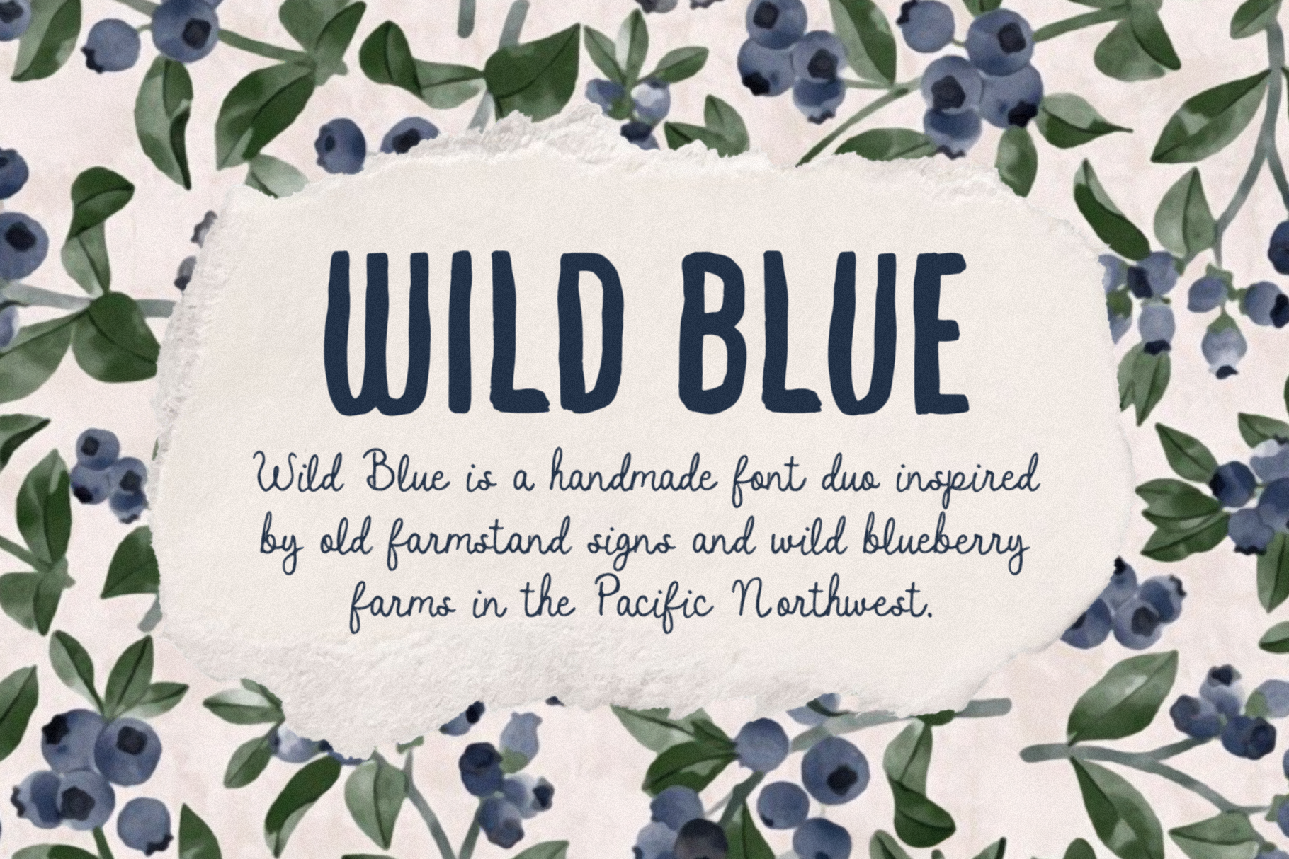 wild-blue_feature-images-01.png