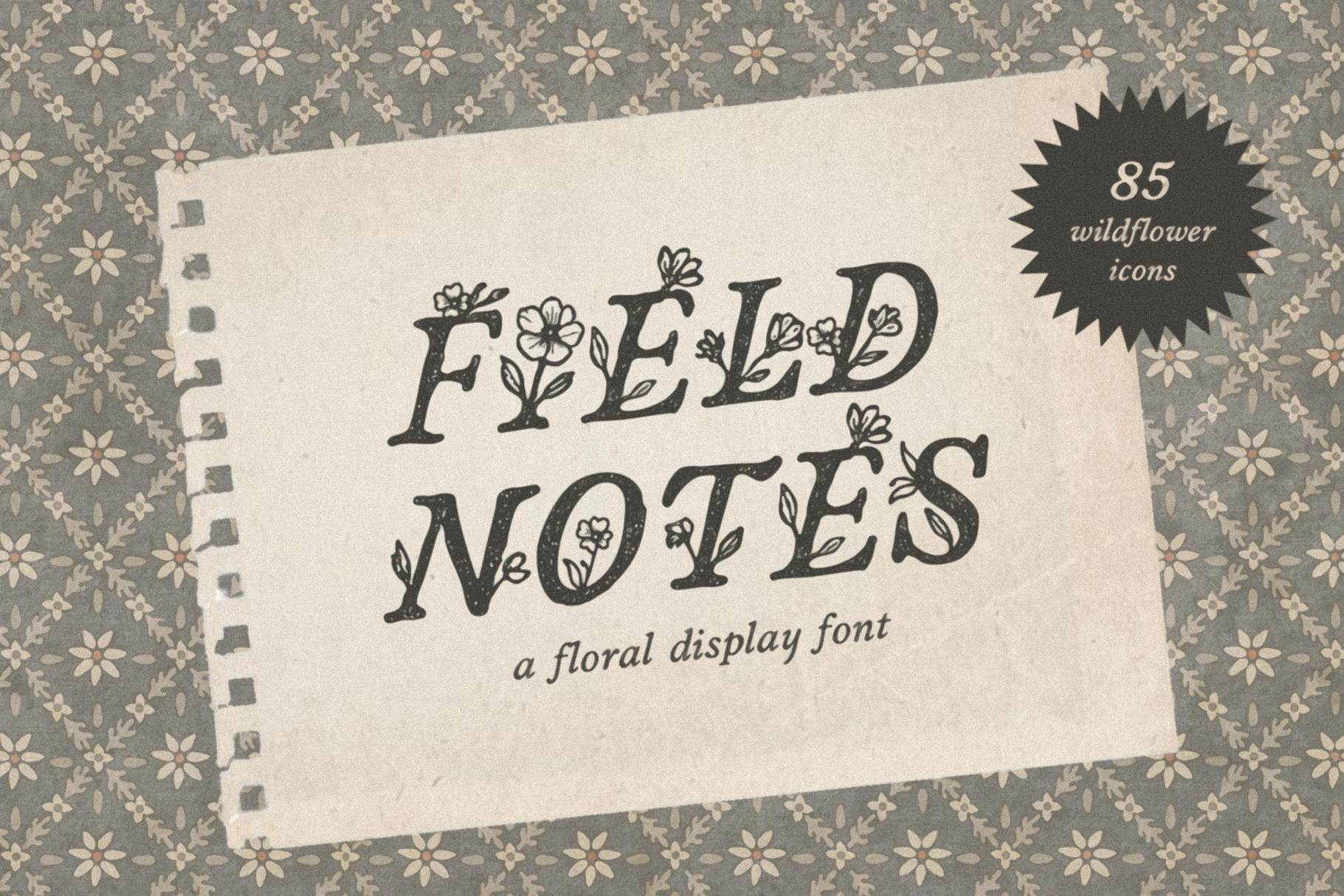 field-notes_feature-images_draft-1 copy-01.png