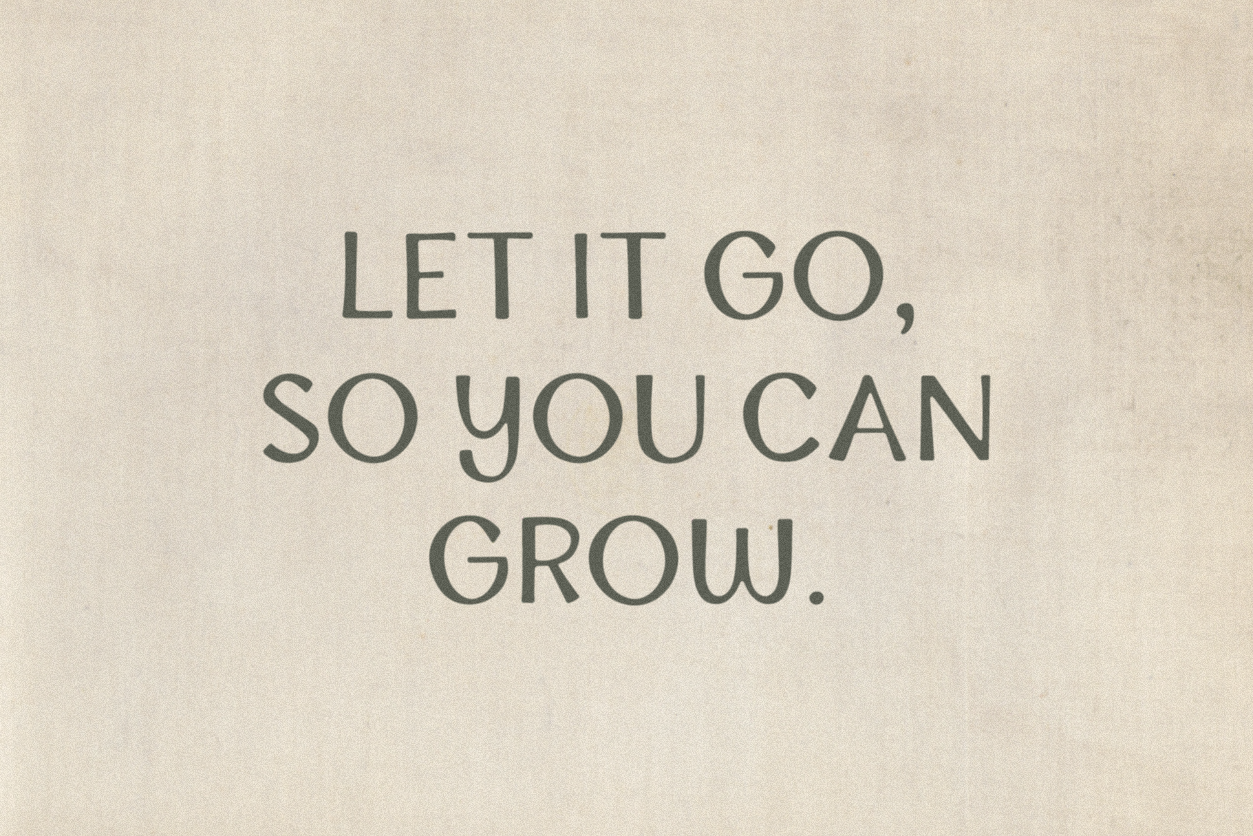 mangrove_feature-images-04.png