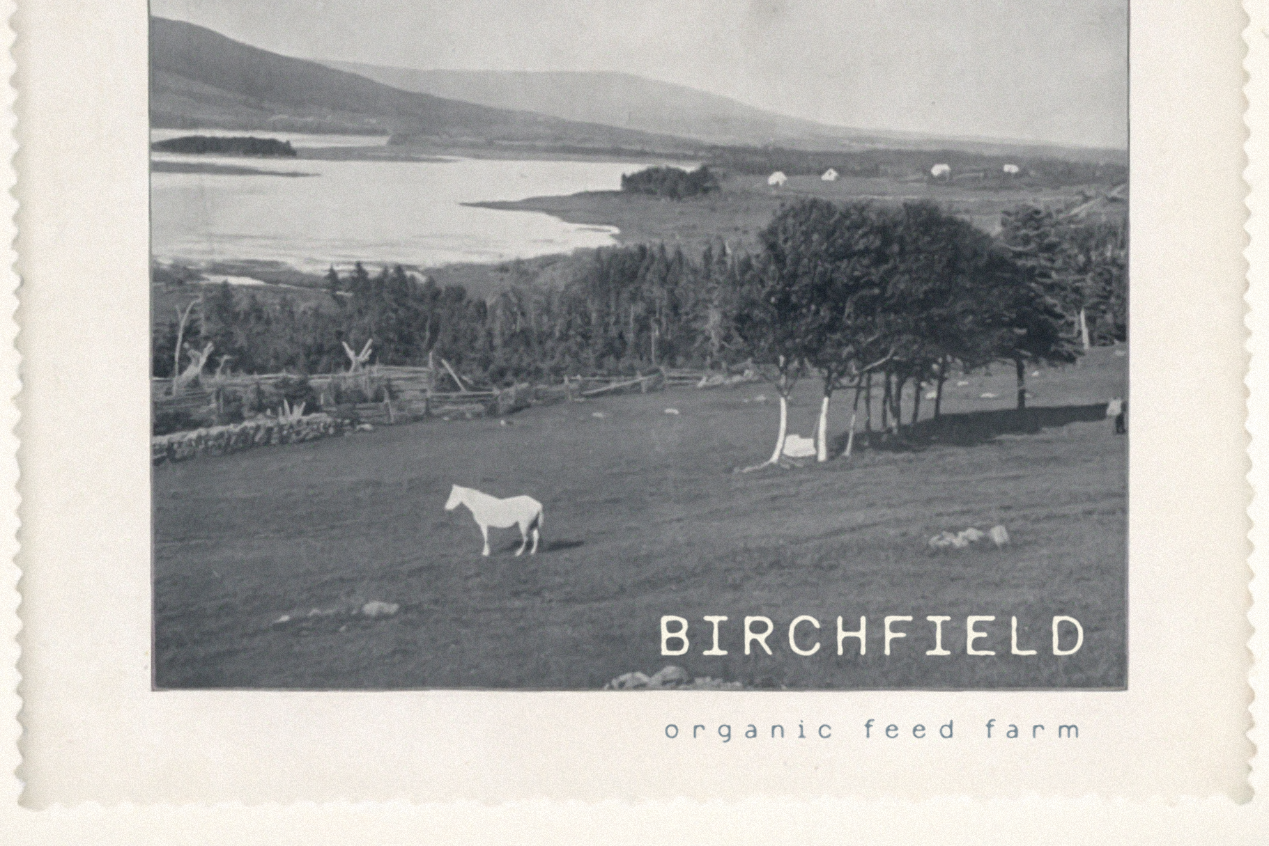 quilt-and-barley_feature-images-07.png