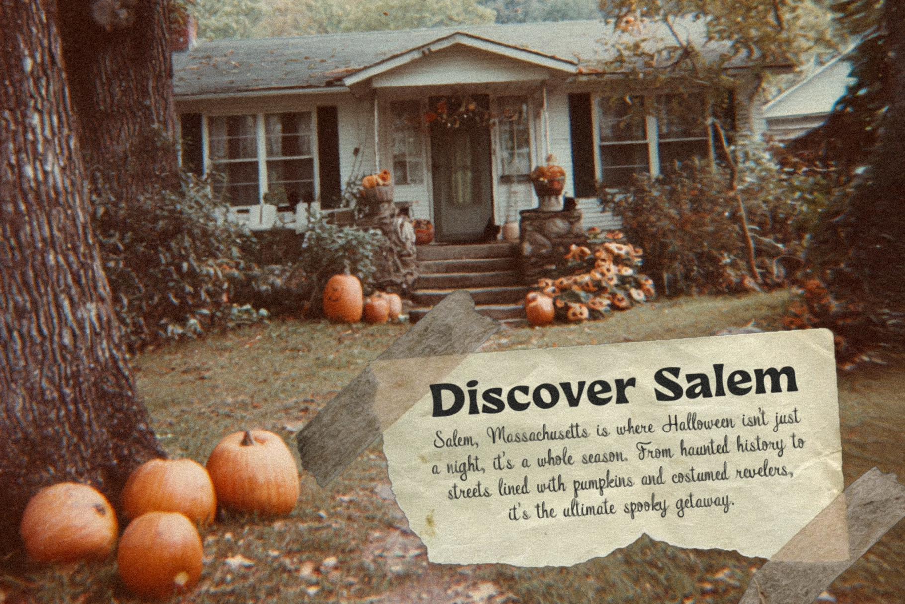 jacks-lantern_feature-images-13.png