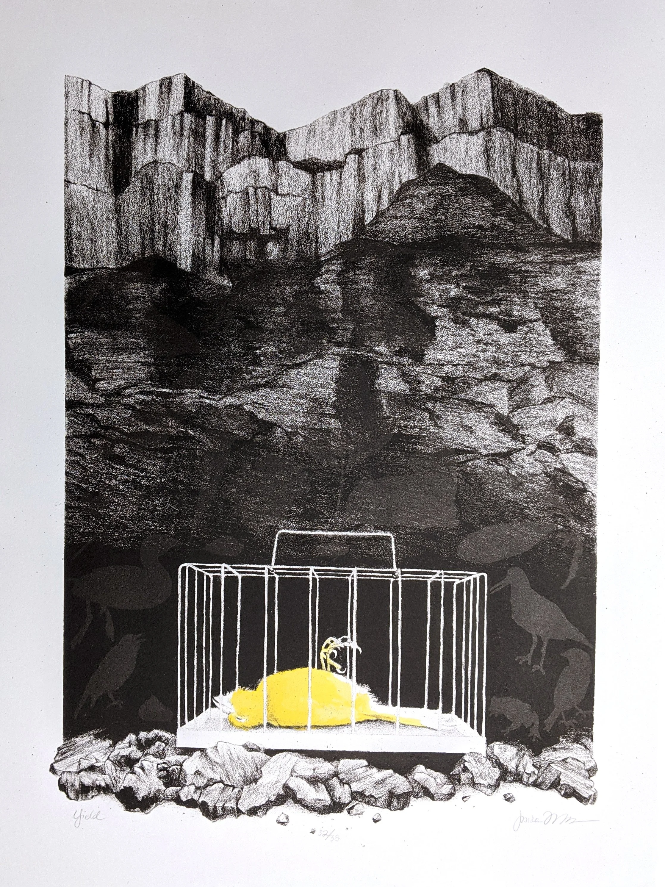 Yield (Devil's Dictionary Portfolio)