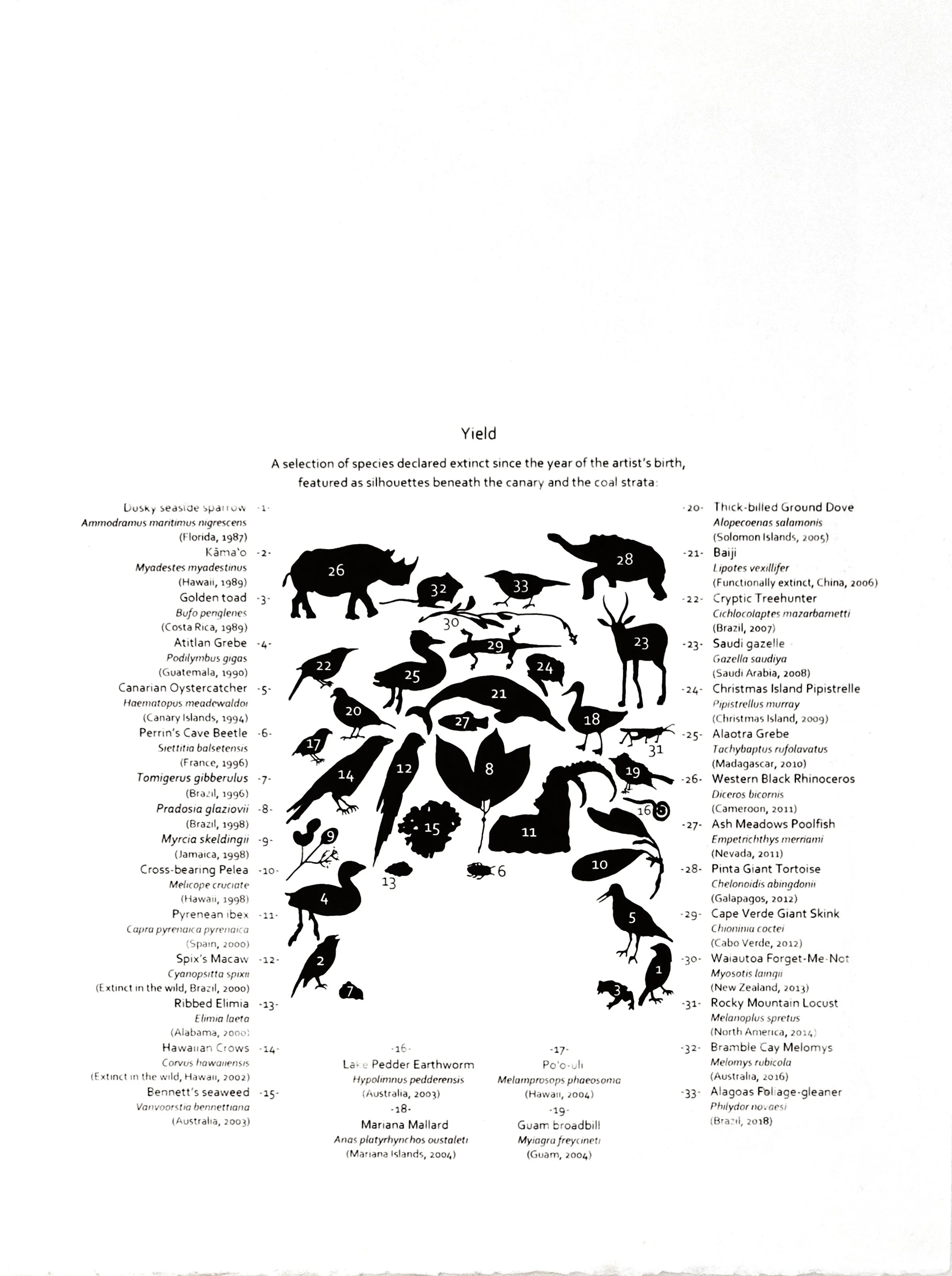 Yield (back; Devil's Dictionary Portfolio)