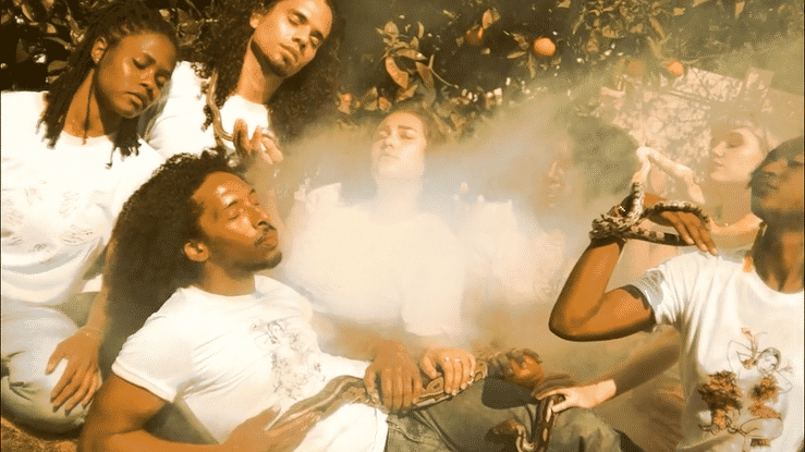 Marmalade Spot 01_Eve's Garden_3-high.gif