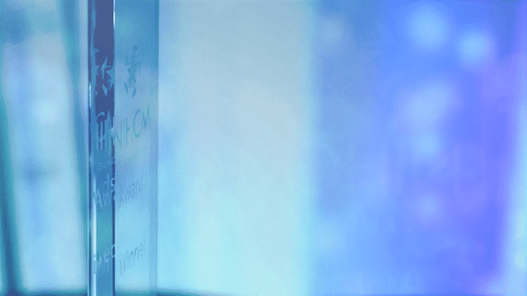 NIHCM AWARDS_Overview 1.0-high.gif