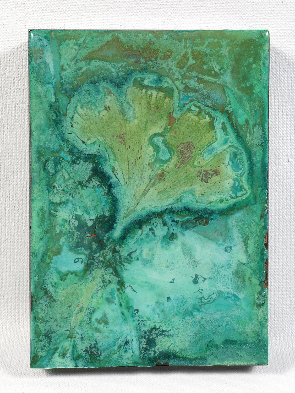Ginkgo Biloba | Abstract verdigris on copper | 5" x 7"