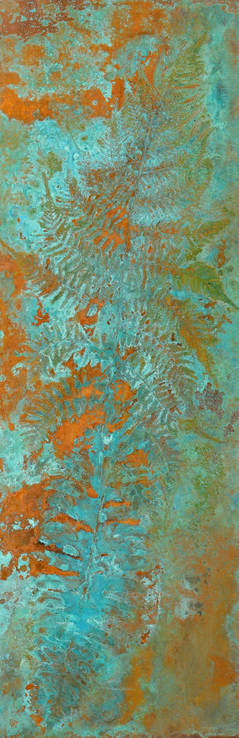 Fern #8935
