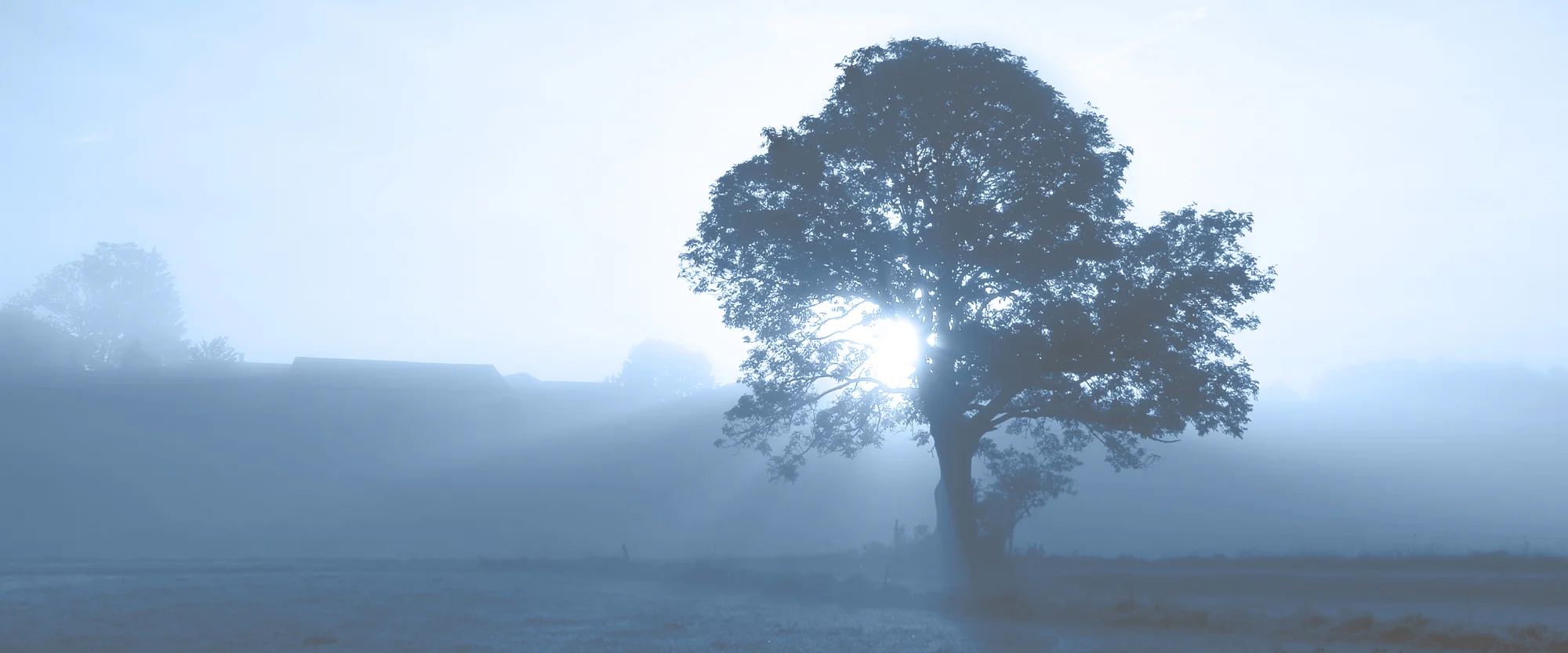 Charitable Gift Annuity A charitable gift annuity is a way you can make a gift to your church or an organization and receive fixed payments for life in return. Learn More