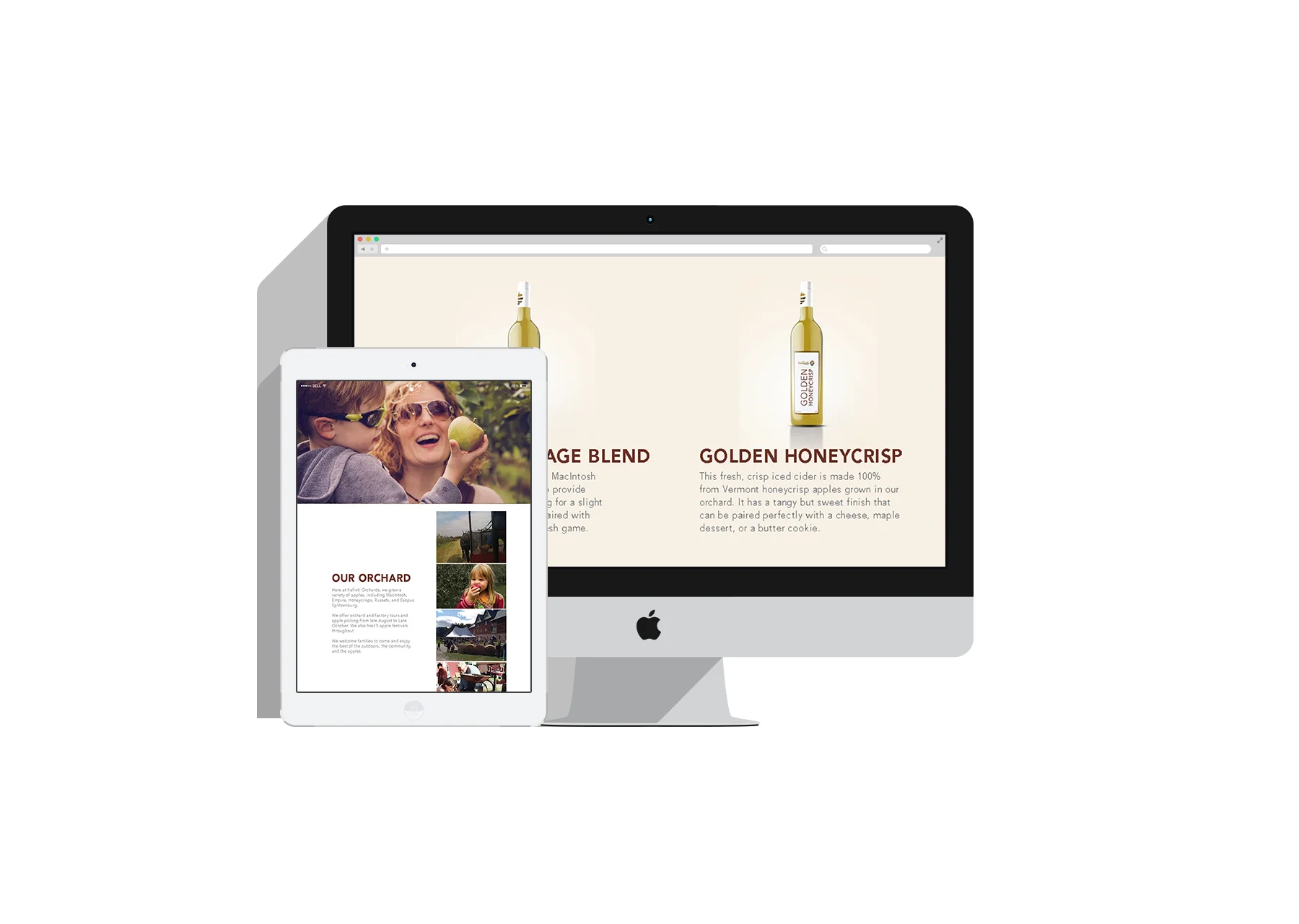Showcase-Template-Flat-Presentation-Vol-3.jpg