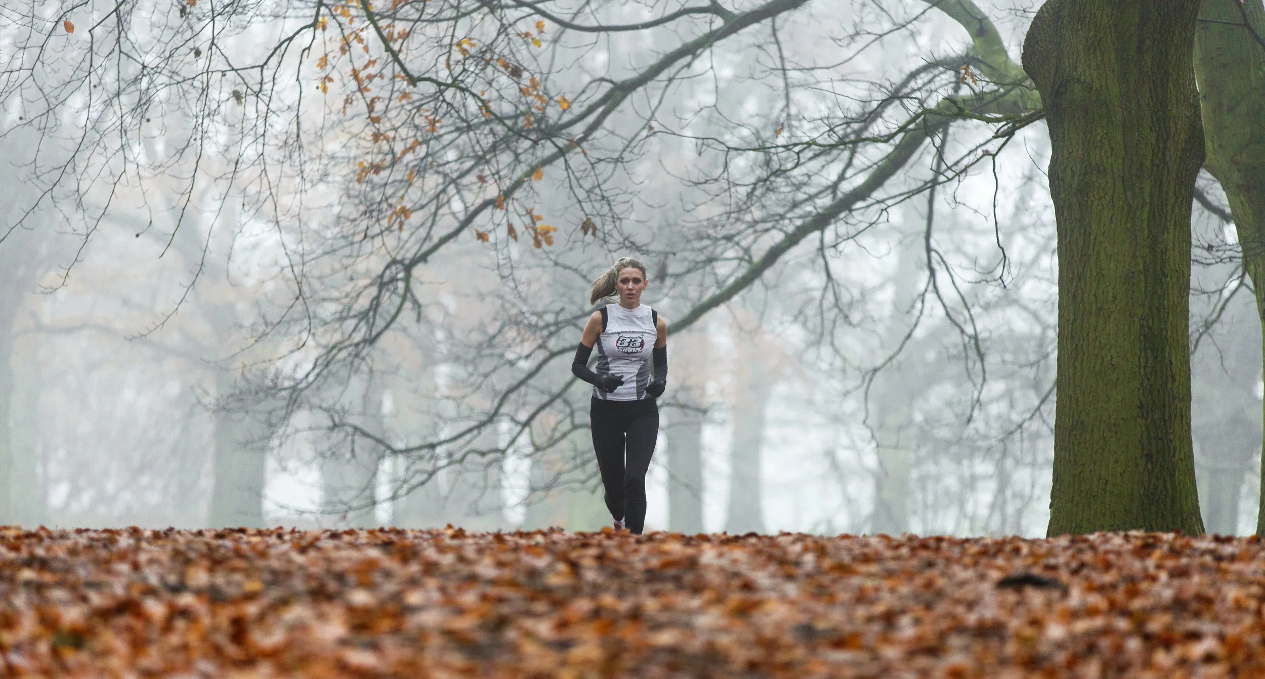 Food, endurance exercise and gut health
