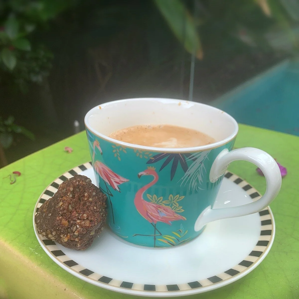 Fig, date and cocoa protein balls