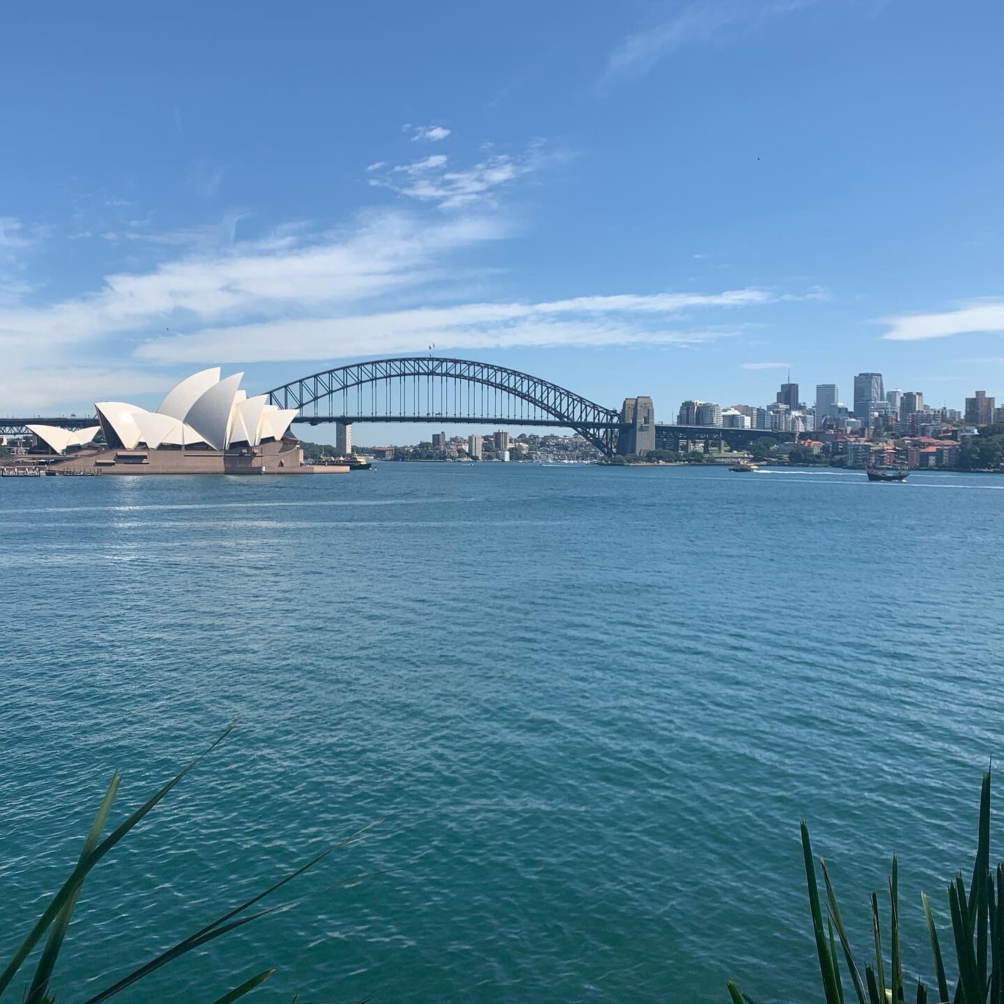 Enjoyed the @bonditomanly so much that I&rsquo;m going back the other way, walking this time instead of running.  Today was 12k from milsons point to double bay, on a glorious Sydney day #walking #getoutside
