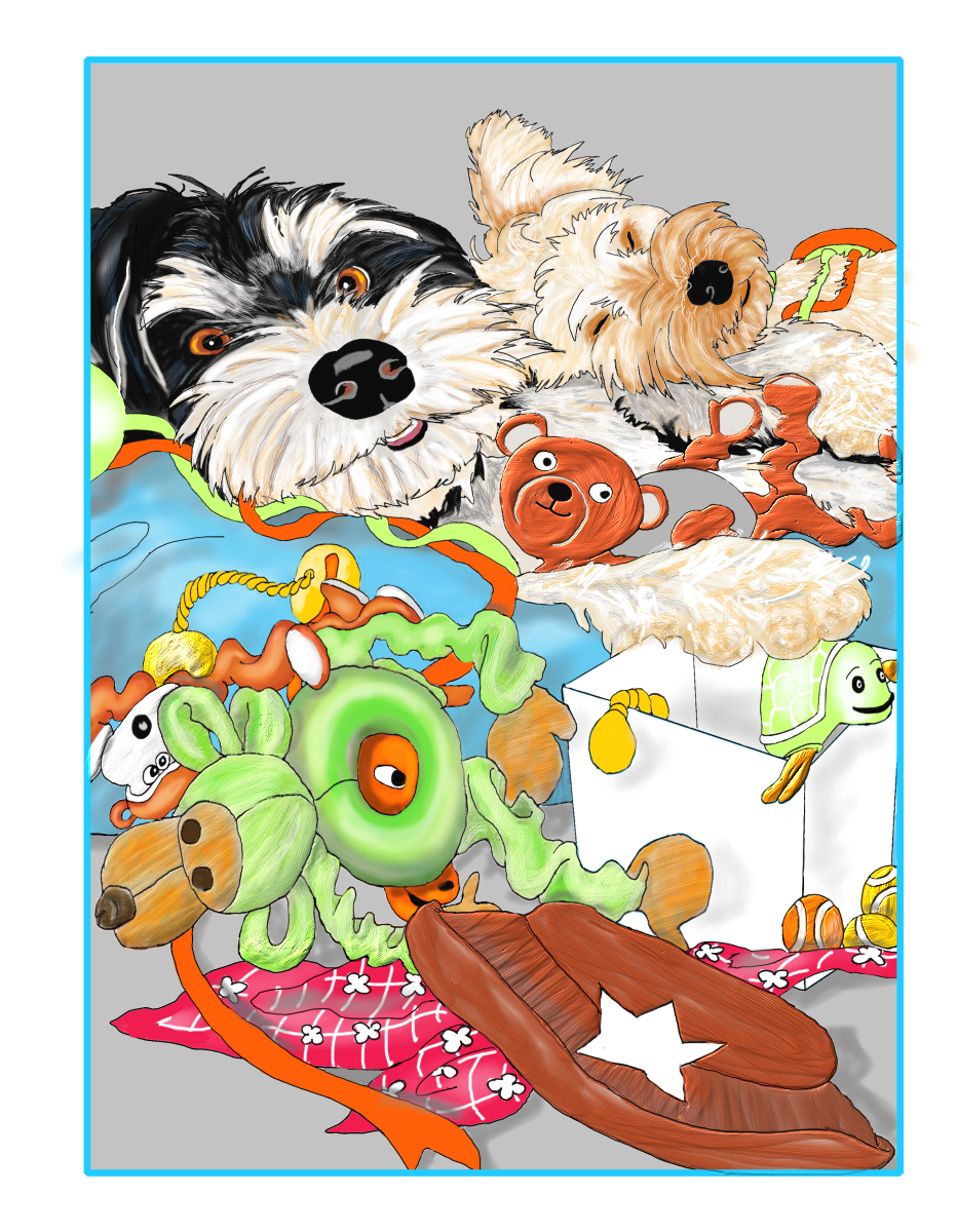 Rocket and Henry, Illustration by Elizabeth B Martin