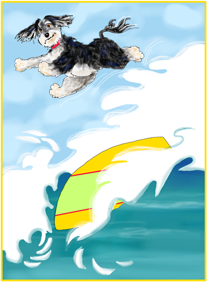 Rocket Surfing, Illustration by Elizabeth B Martin